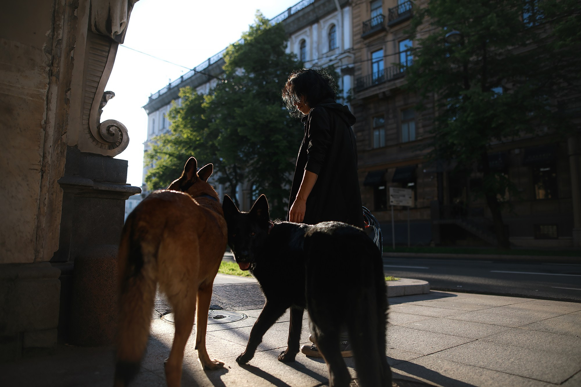 Алена, Кай и Мара. Фотограф-анималист Mary Mart — Москва, Питер