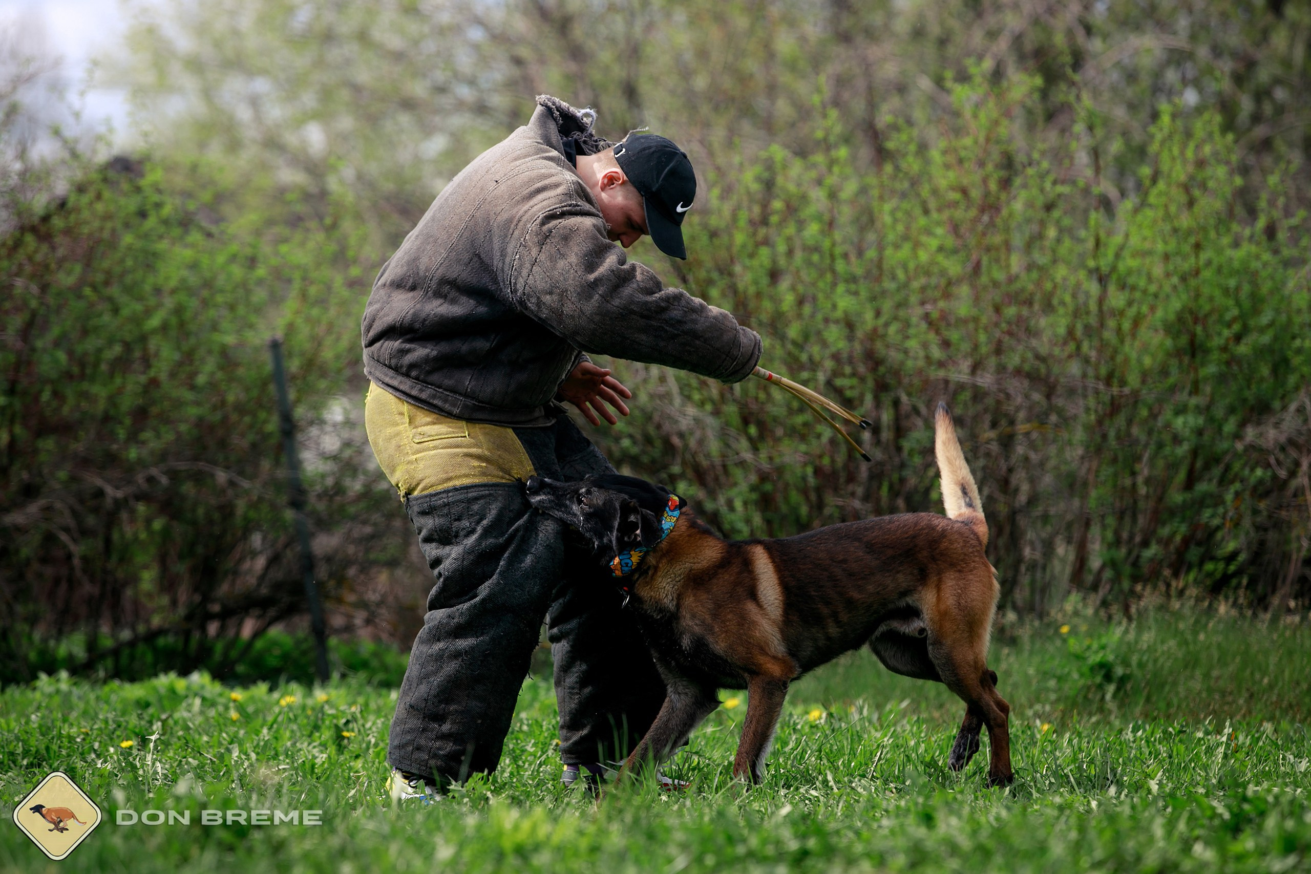 Семинар для фигурантов, день 2. Фотограф-анималист Mary Mart — Москва, Питер