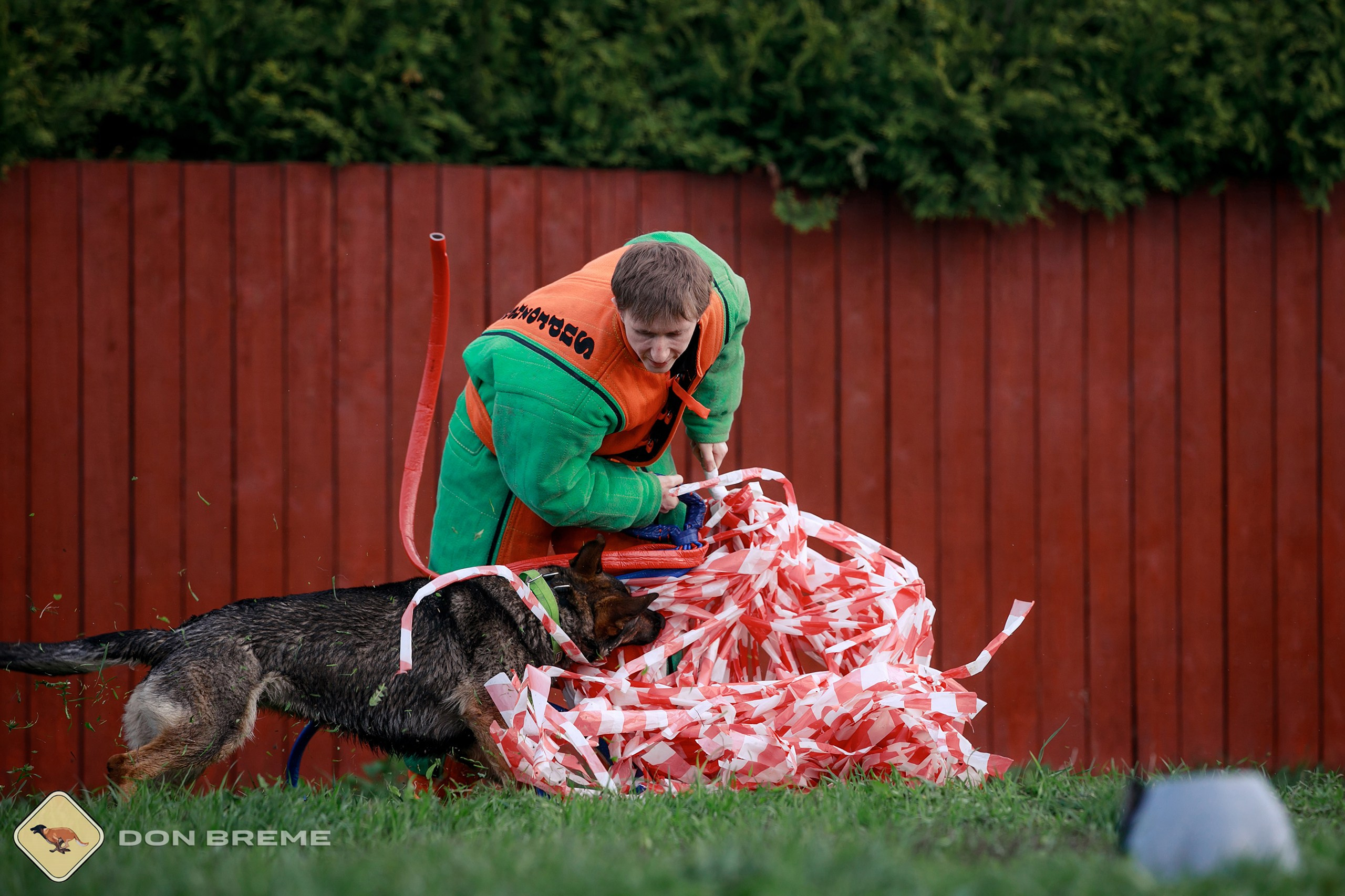 Семинар для фигурантов, день 2. Фотограф-анималист Mary Mart — Москва, Питер