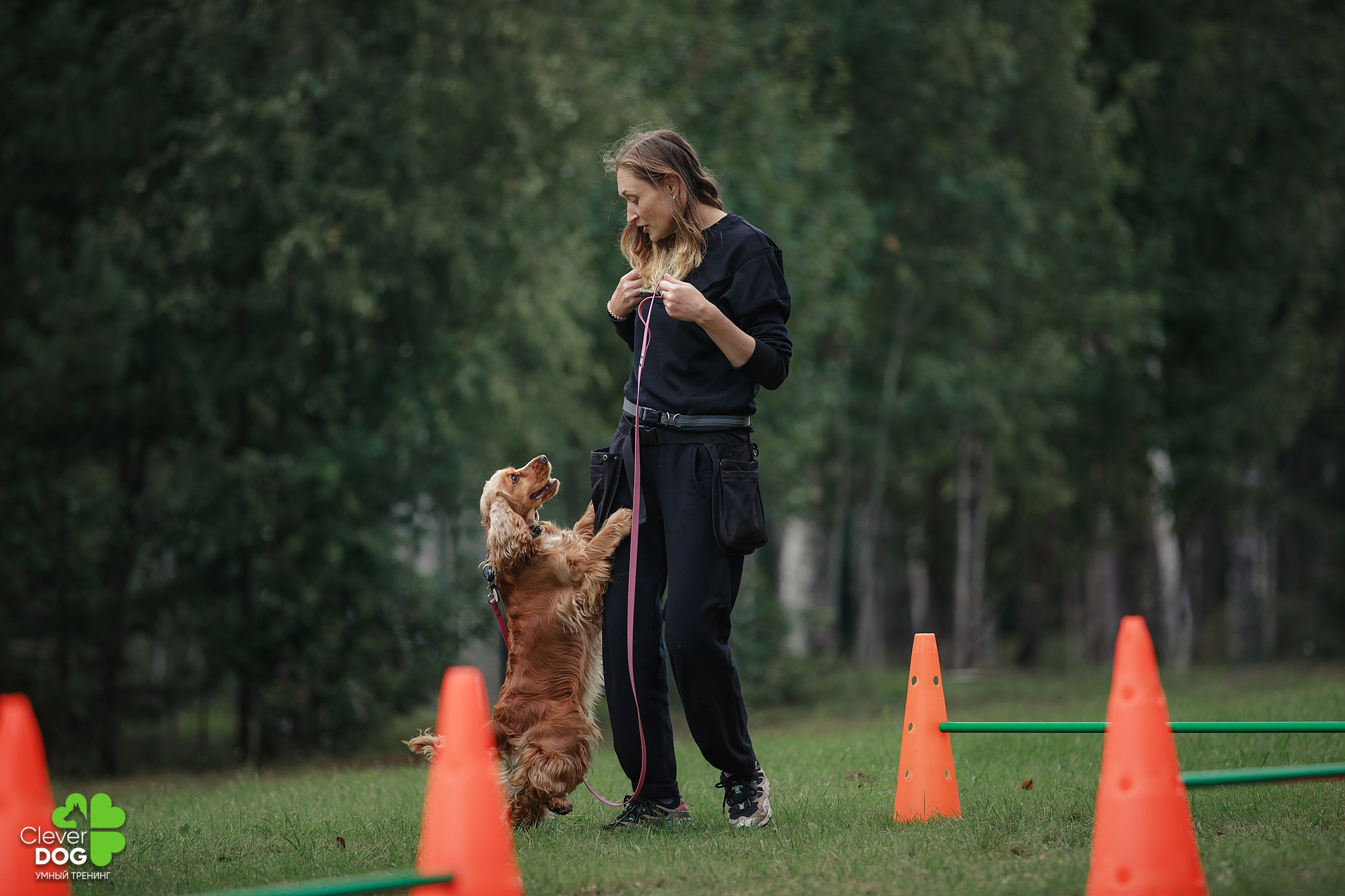 Кинологический лагерь CleverDog, 2024. Фотограф-анималист Mary Mart — Москва, Питер