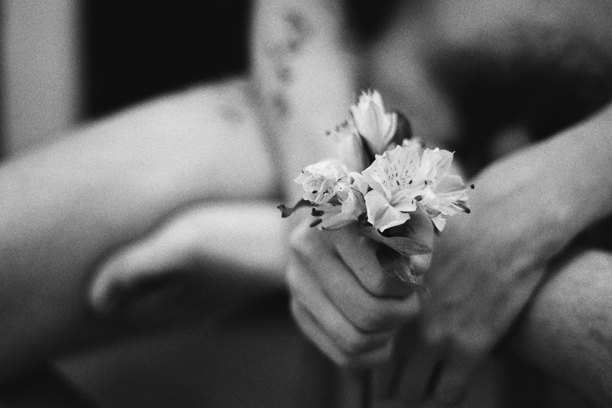 Body. Polina Soyref, portrait photographer