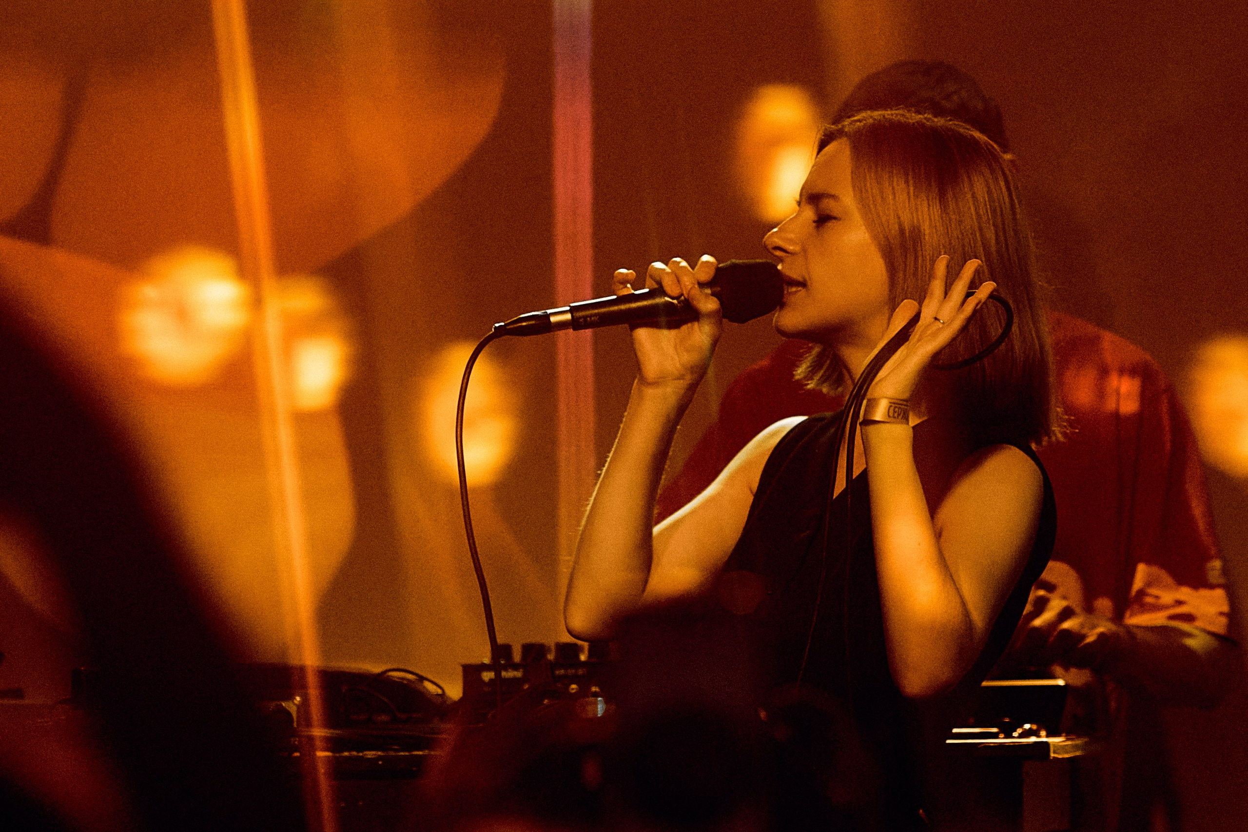 Порез на собаке. Фотограф Юлия Маринина