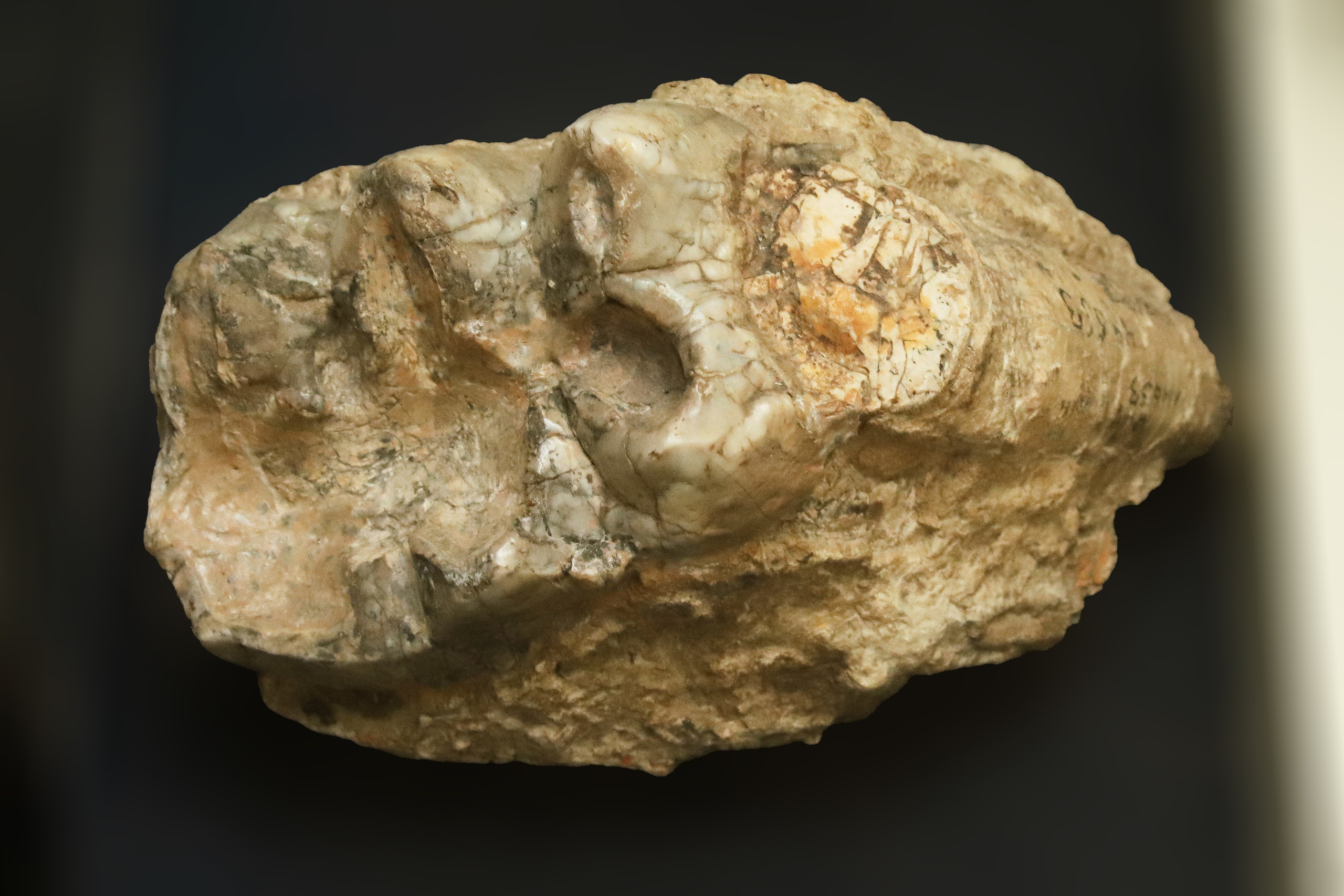 Каменная летопись. Фотограф Юлия Маринина