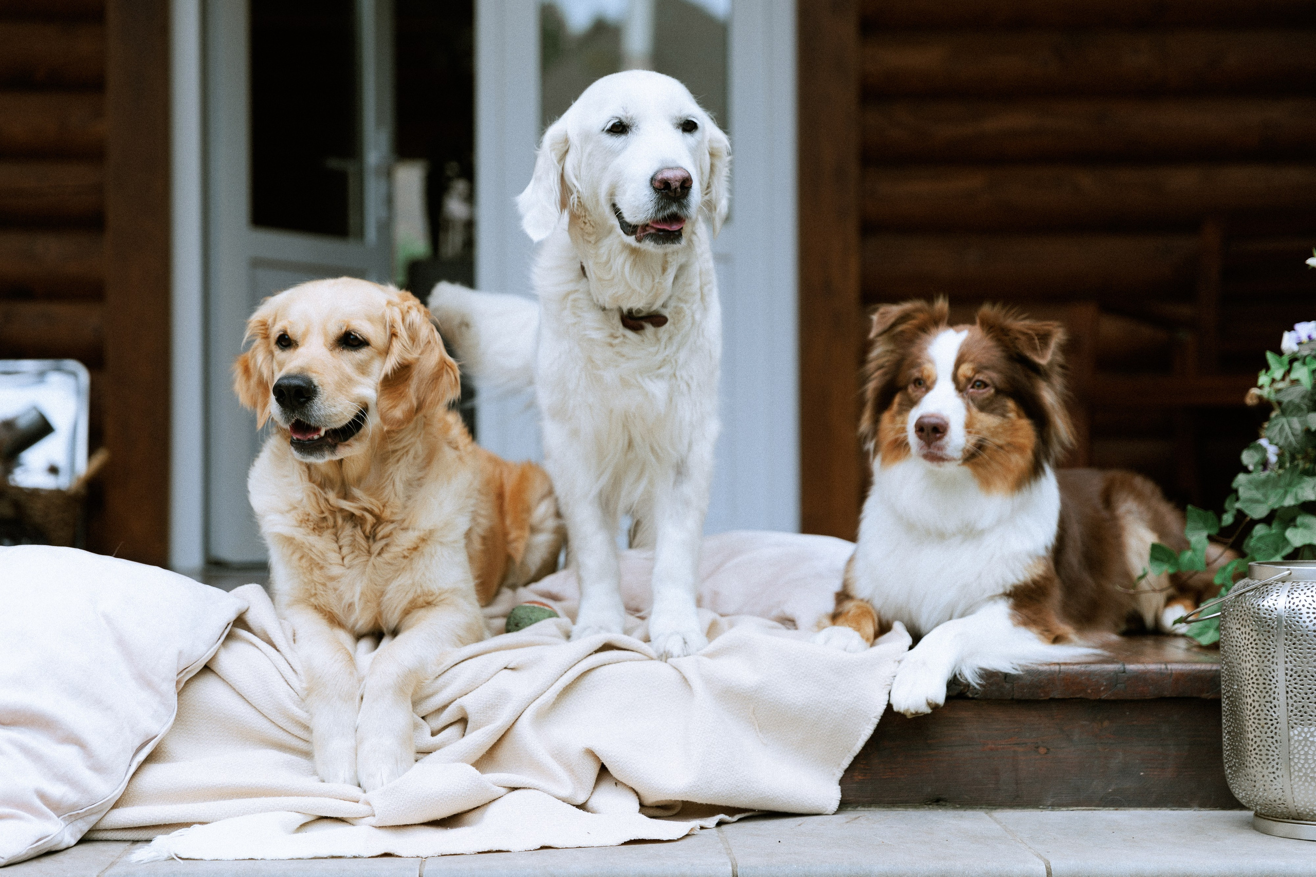 Большая семья. Фотограф в Москве Людмила Малова