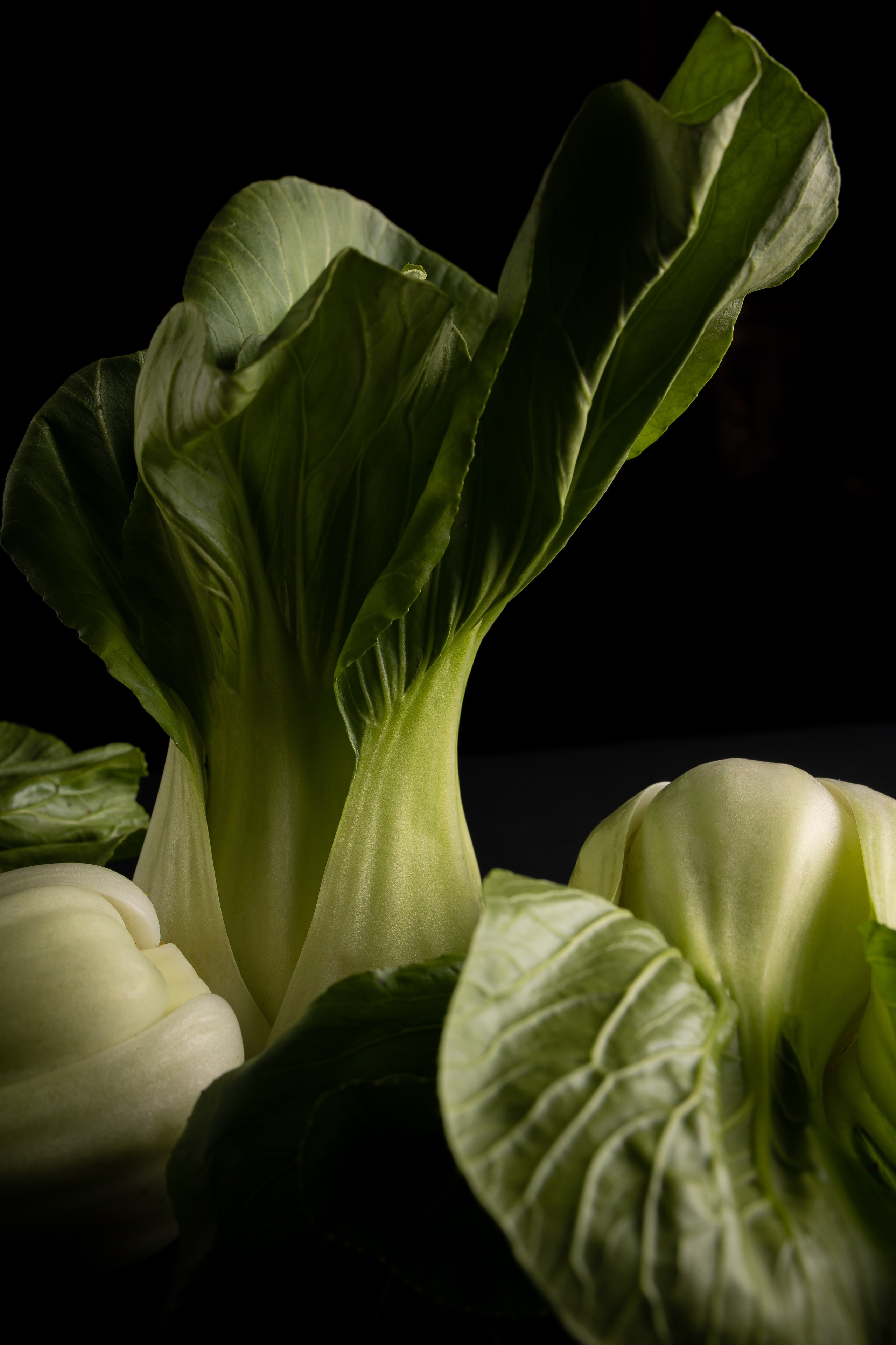 BLACK THAI. Фотограф Агеева Мария