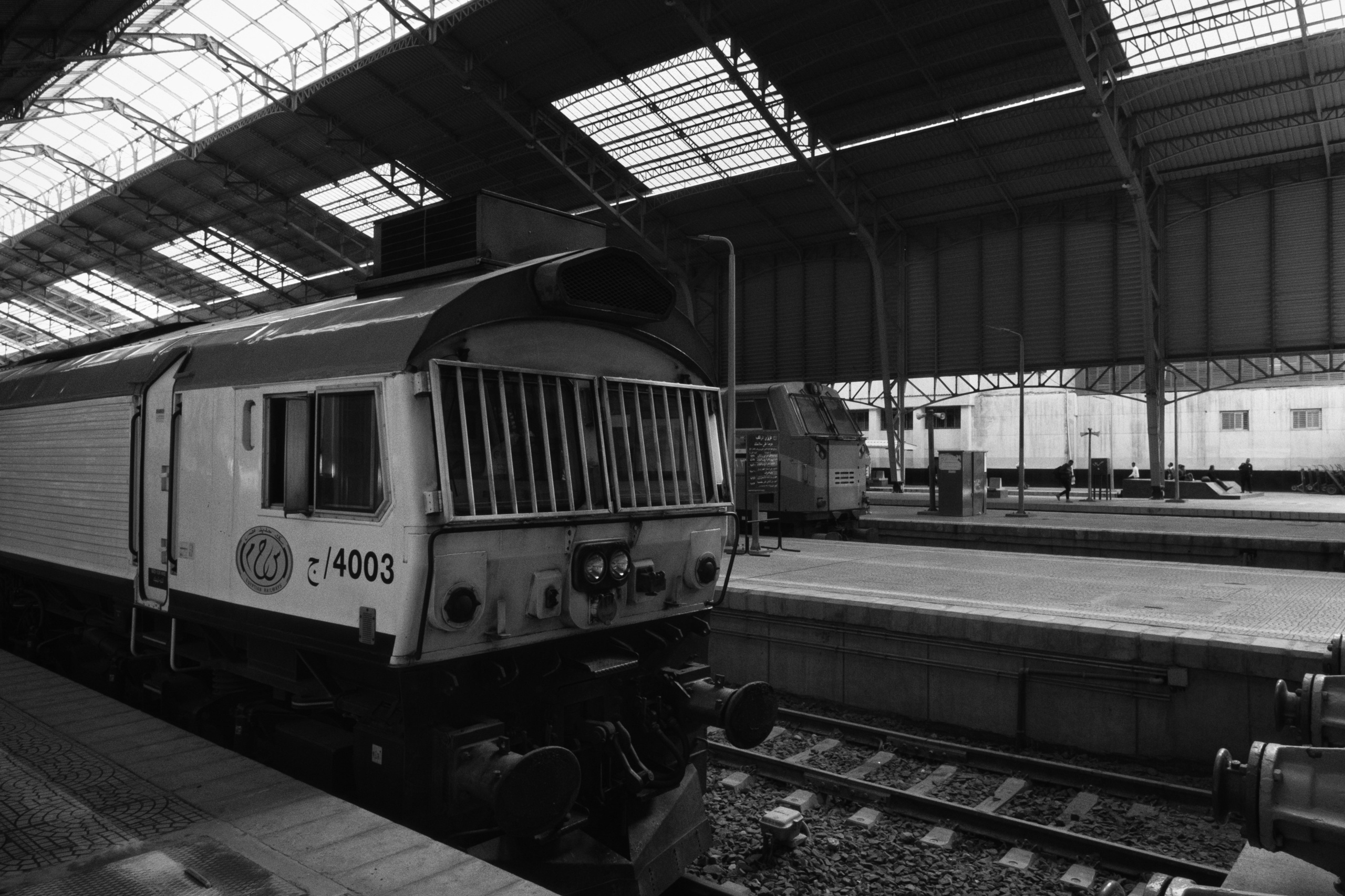 Alexandria / Egypt AW25. Фотограф Юрин Евгений