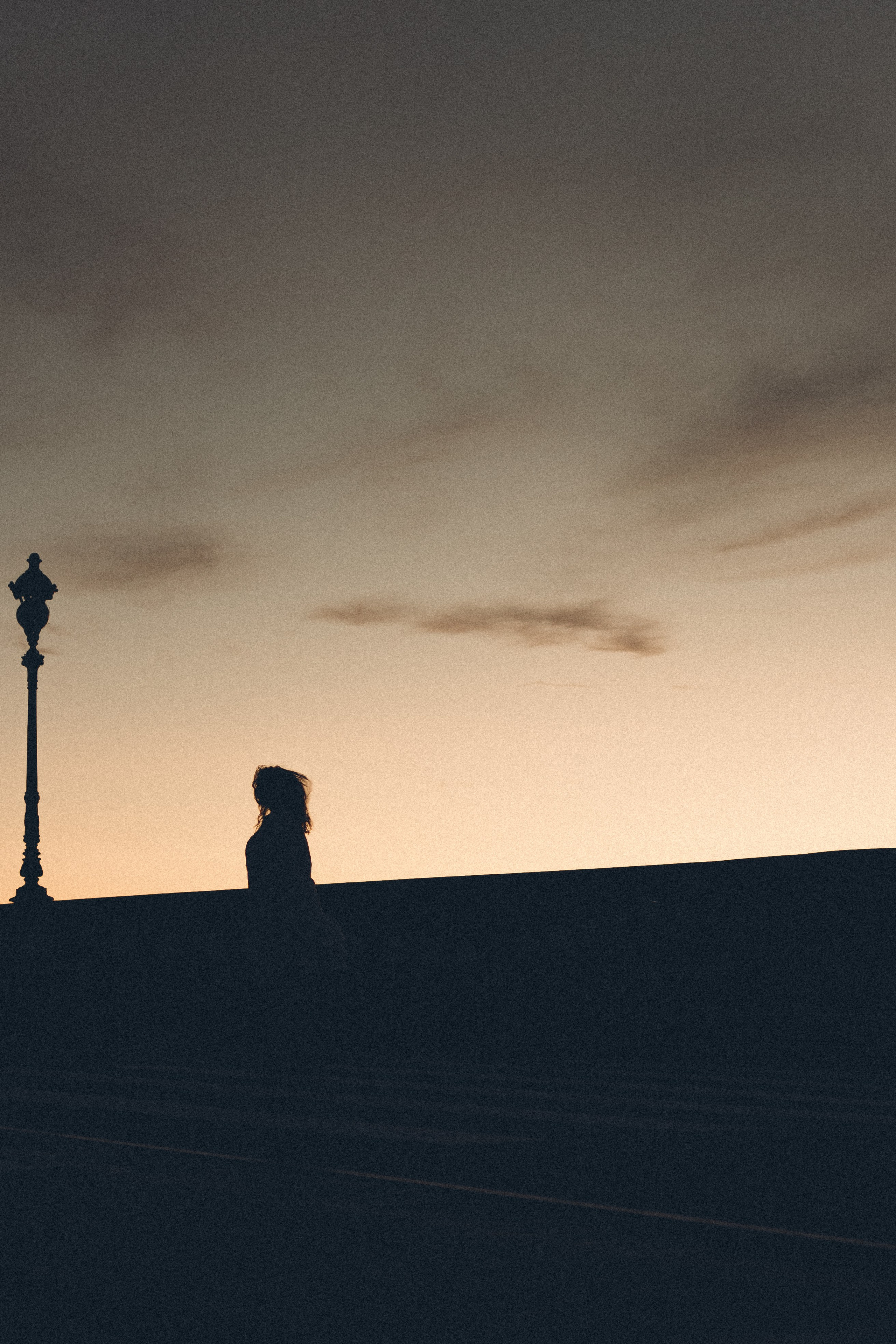 РАССВЕТ С РАЗВОДНЫМИ МОСТАМИ. Профессиональный фотограф, Санкт-Петербург — Виктория Богомолова