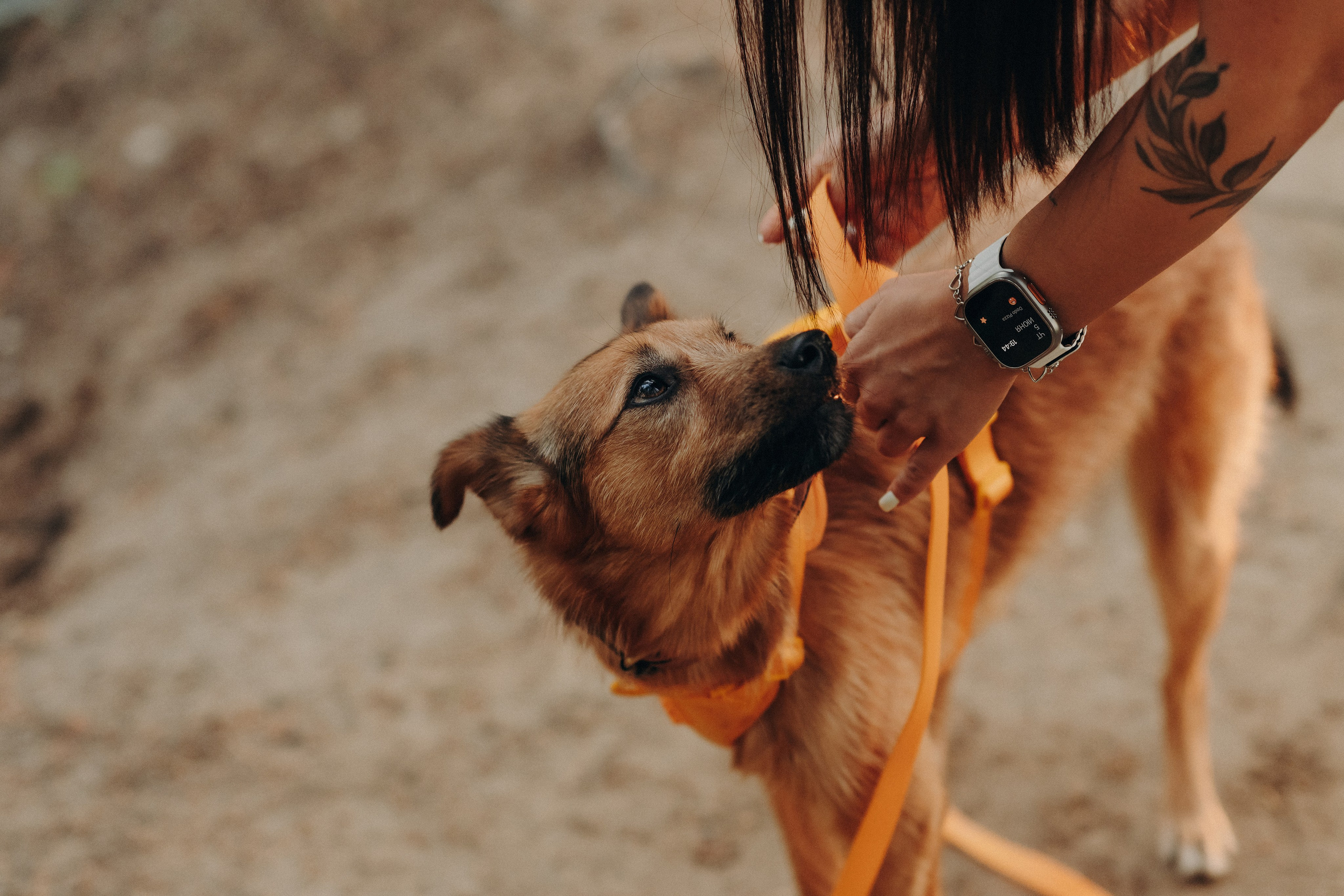 Яна и Санька. Главная