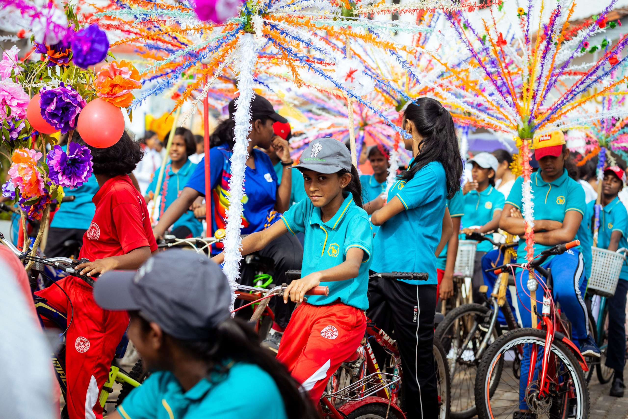 Шри-Ланка (весна 2024). Фотограф Виноградов Константин