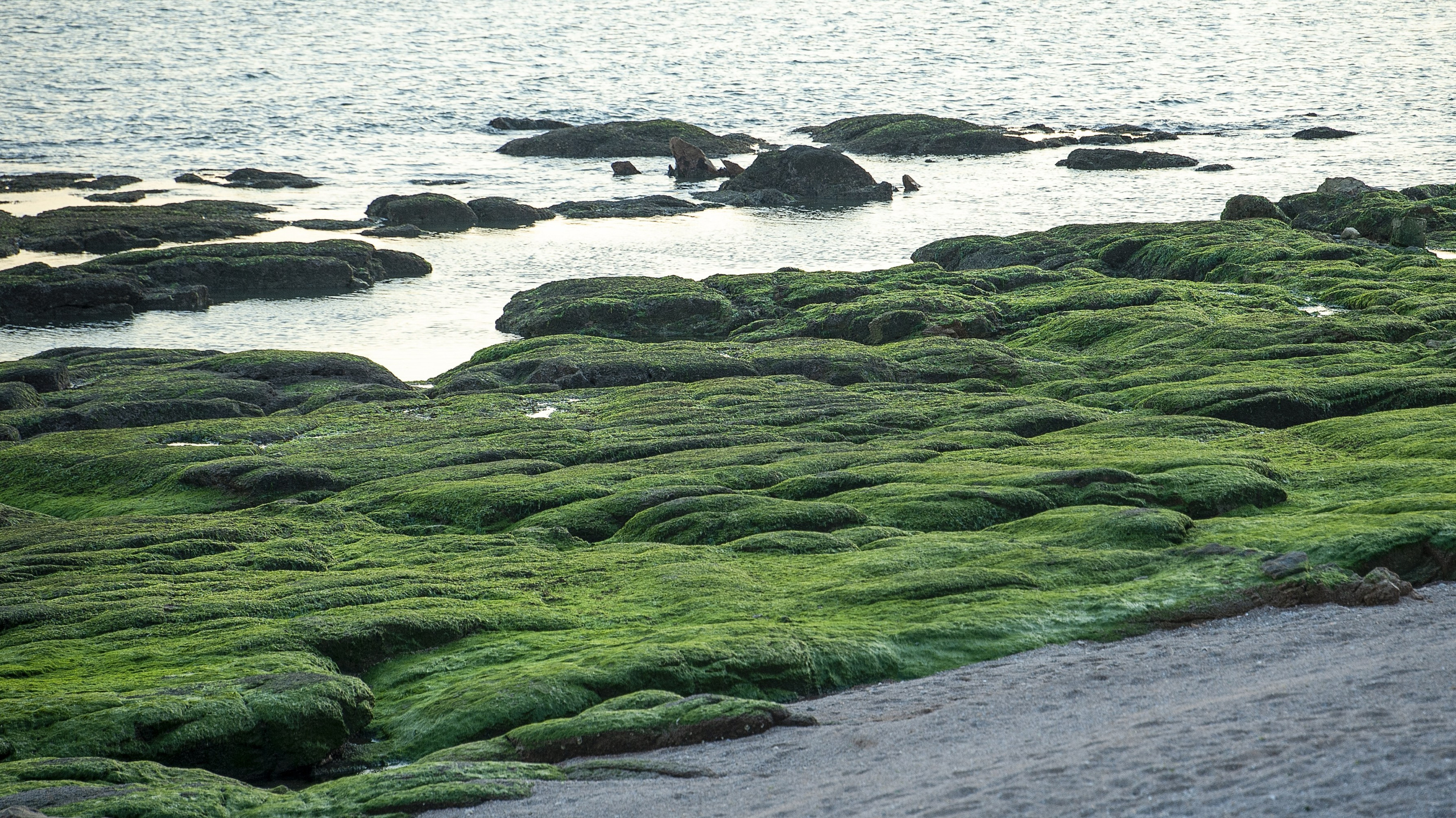 Циндао. Город у моря ( отлив )