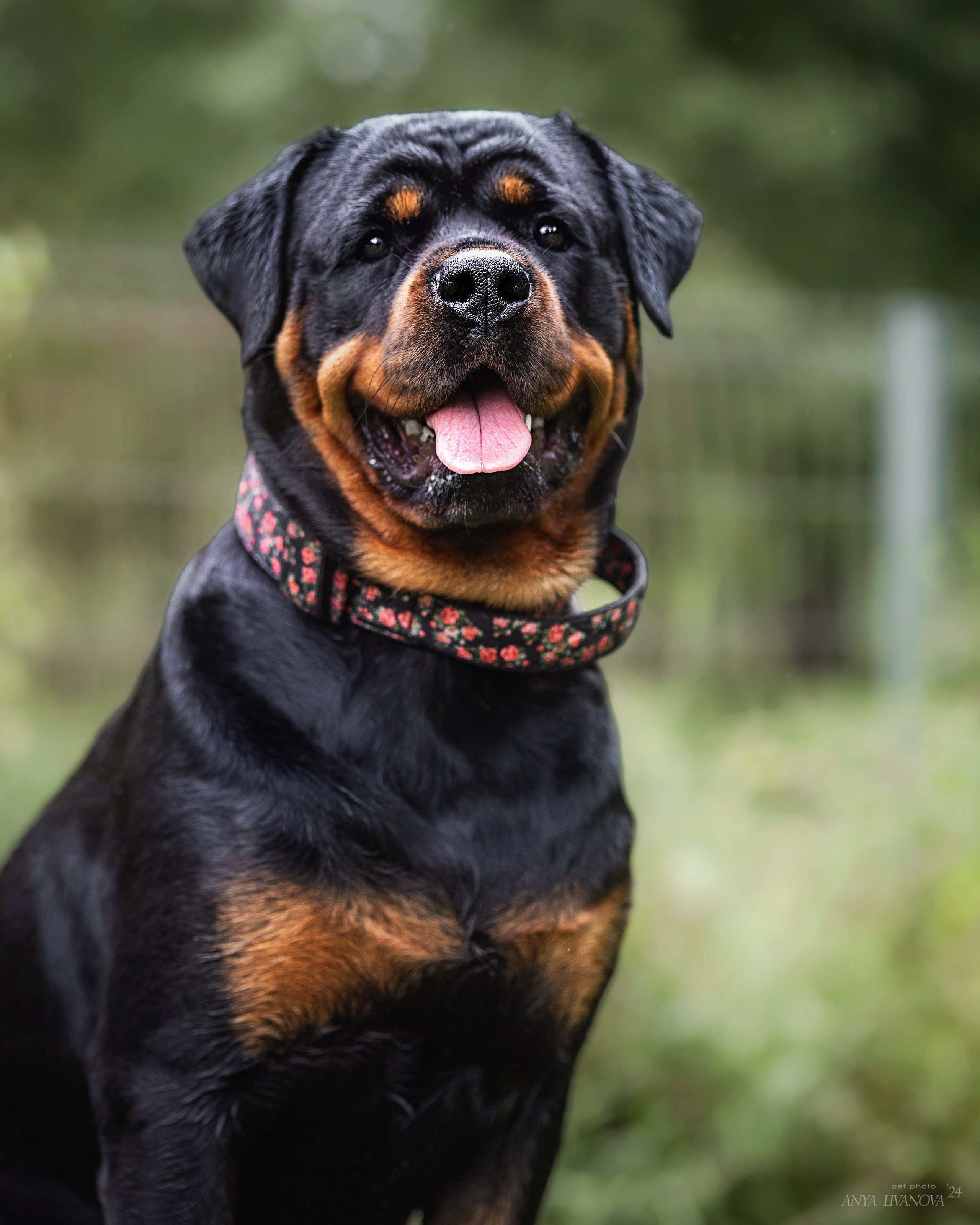 Ралли «Акела». Фотограф анималист Аня Ливанова | Рыбинск