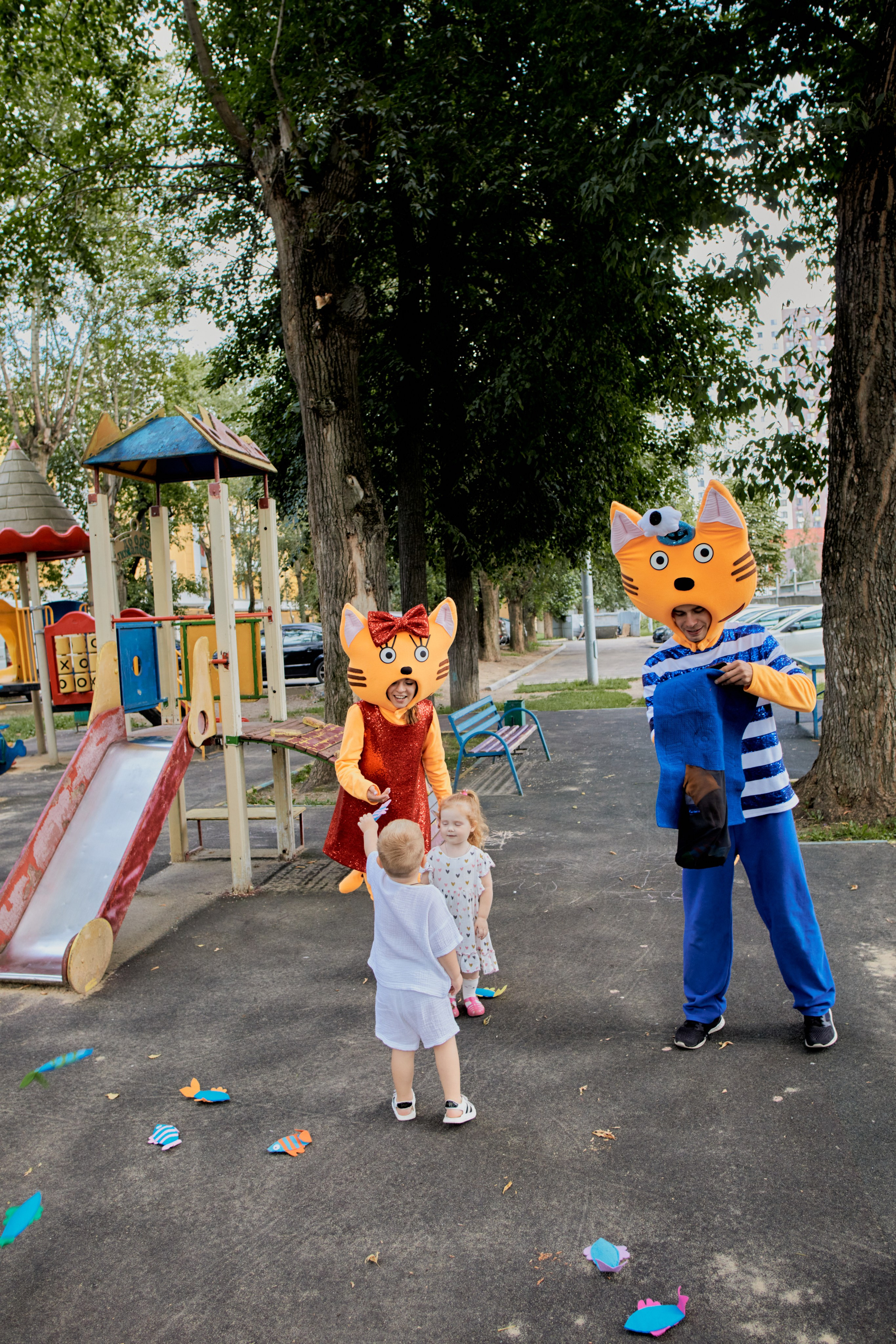 Три кота. Фотограф Москва