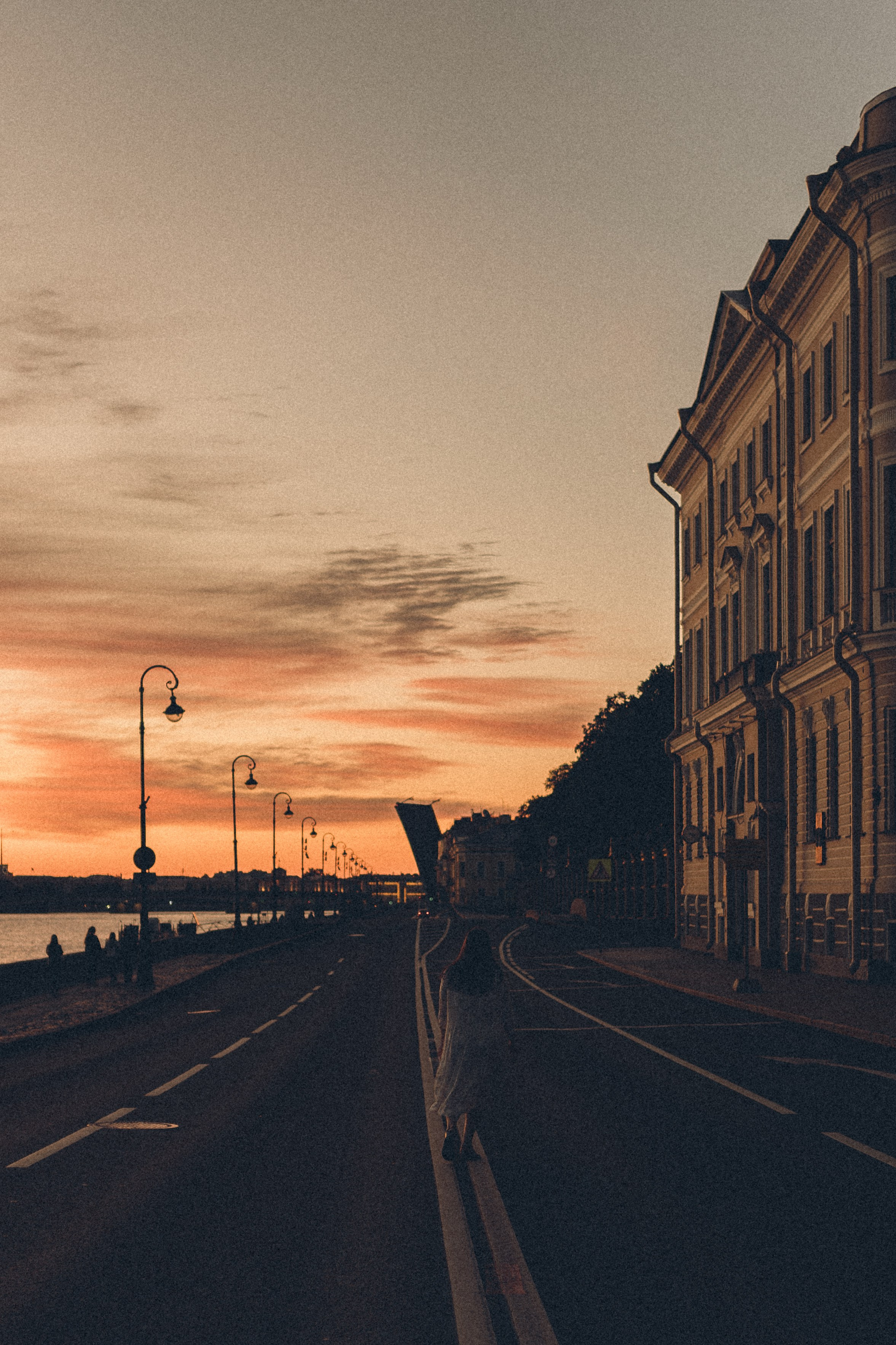 РАССВЕТ С РАЗВОДНЫМИ МОСТАМИ. Профессиональный фотограф, Санкт-Петербург — Виктория Богомолова
