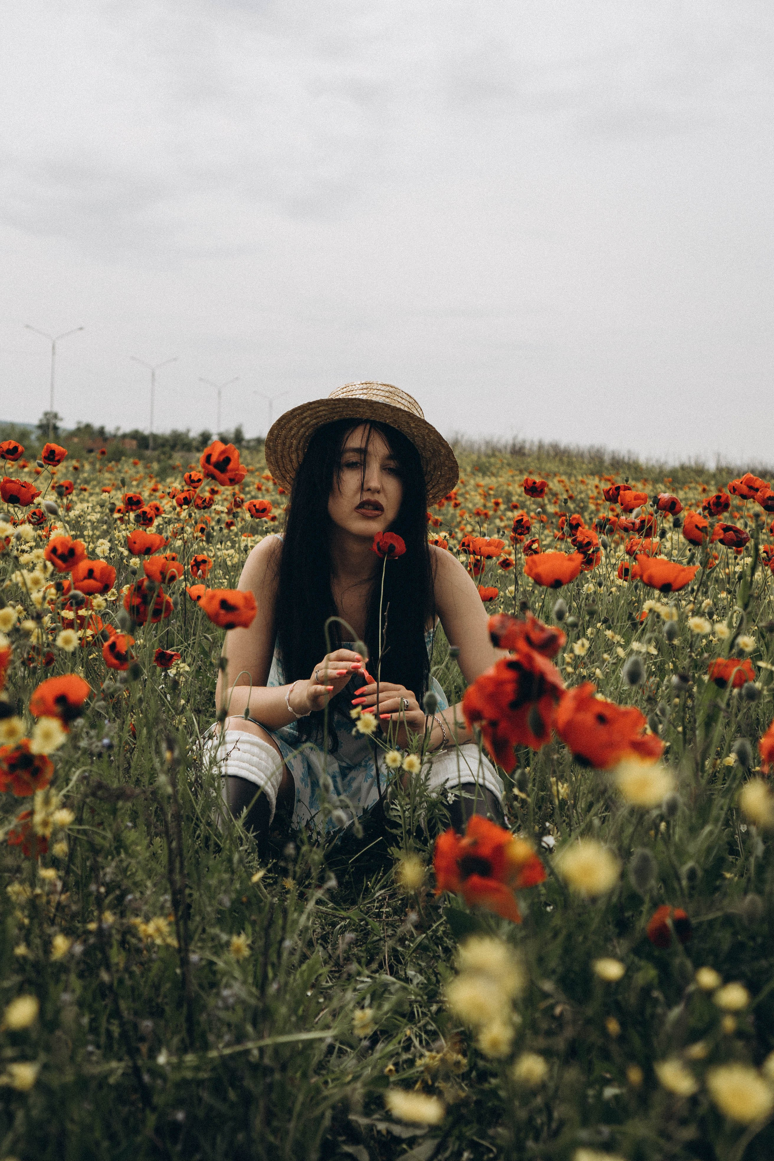 Цветочная поляна. Профессиональный фотограф, Санкт-Петербург — Виктория Богомолова