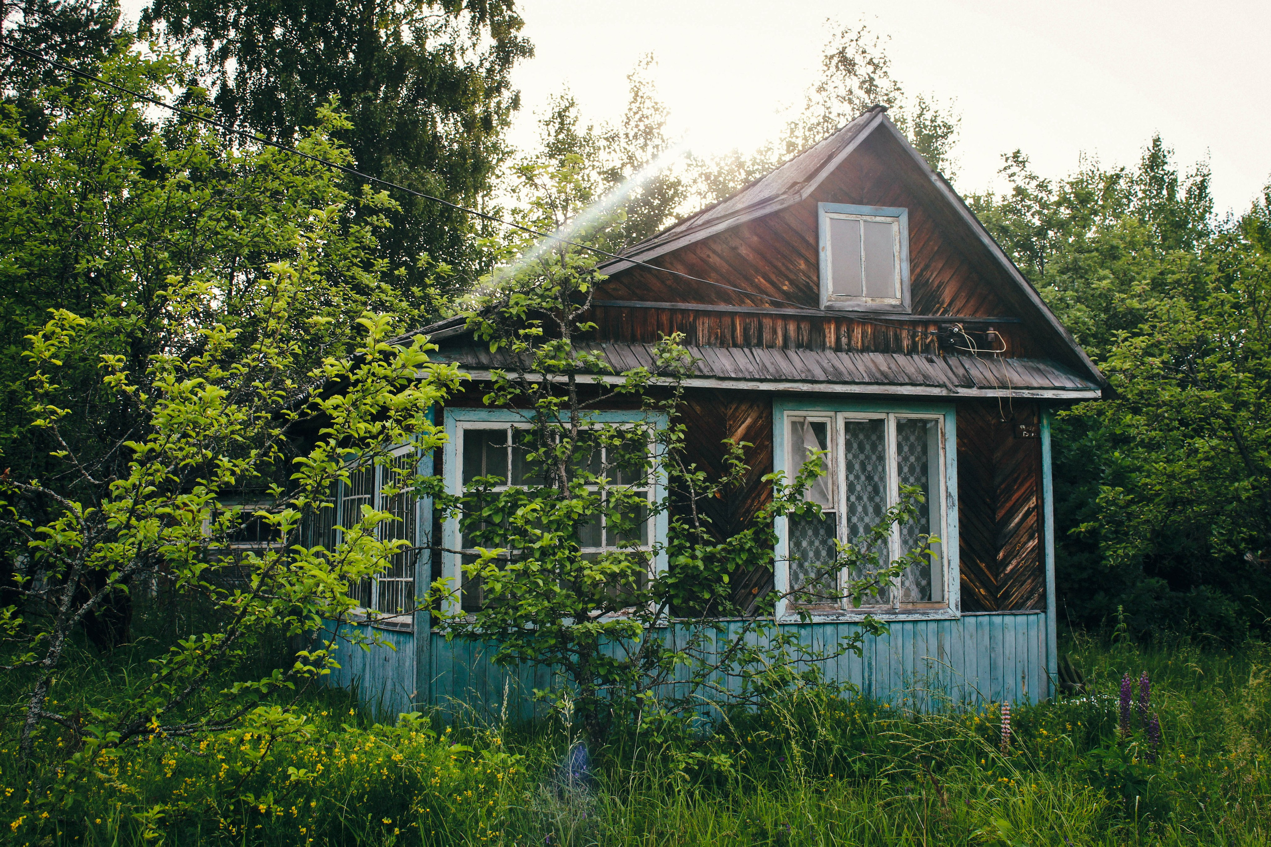 Дер. Александровка. Фотограф Ксения Монахова