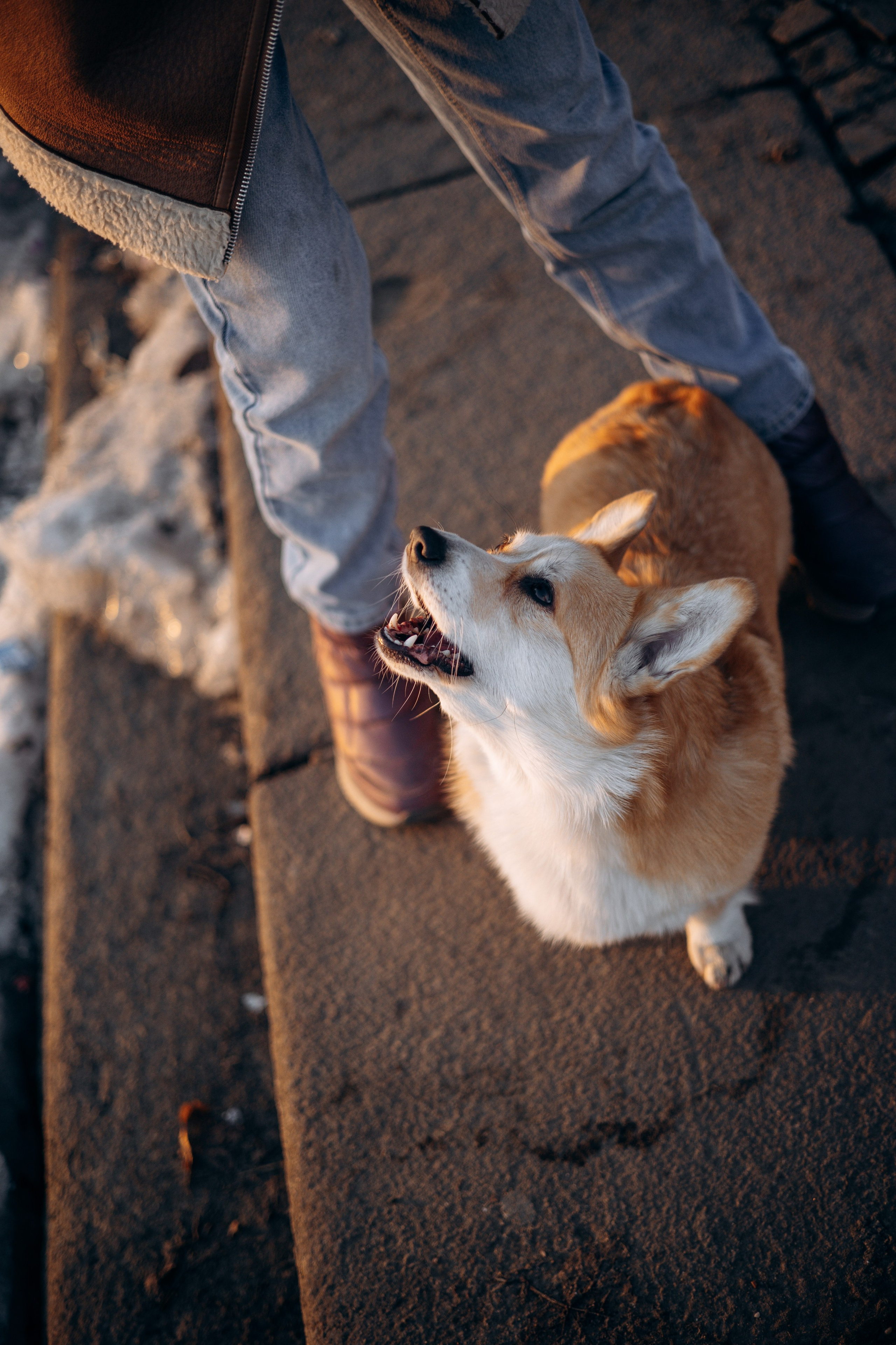 Настя и Ева. Фотограф — Анималист | Санкт-Петербург