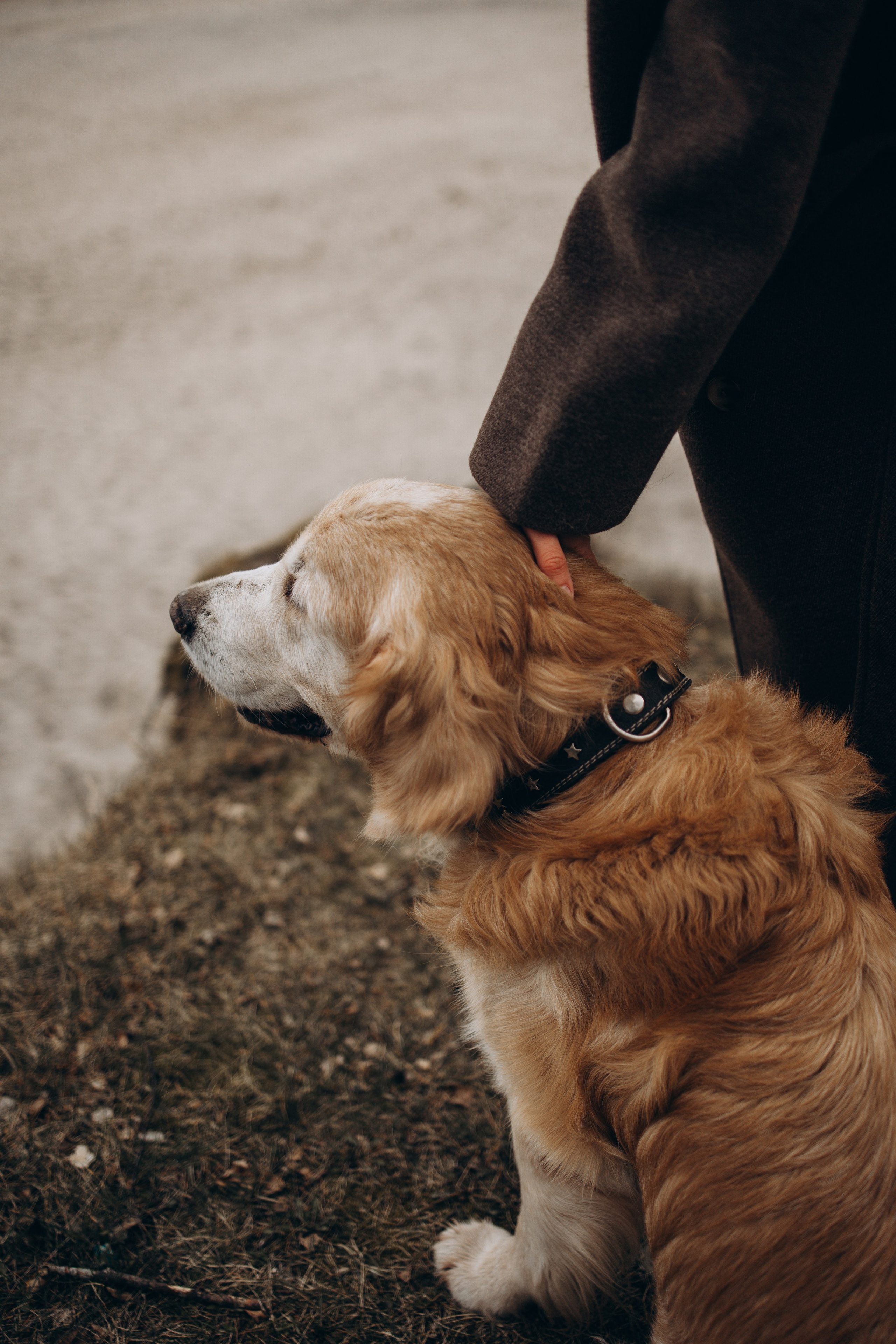 Юля и Максик. Фотограф — Анималист | Санкт-Петербург