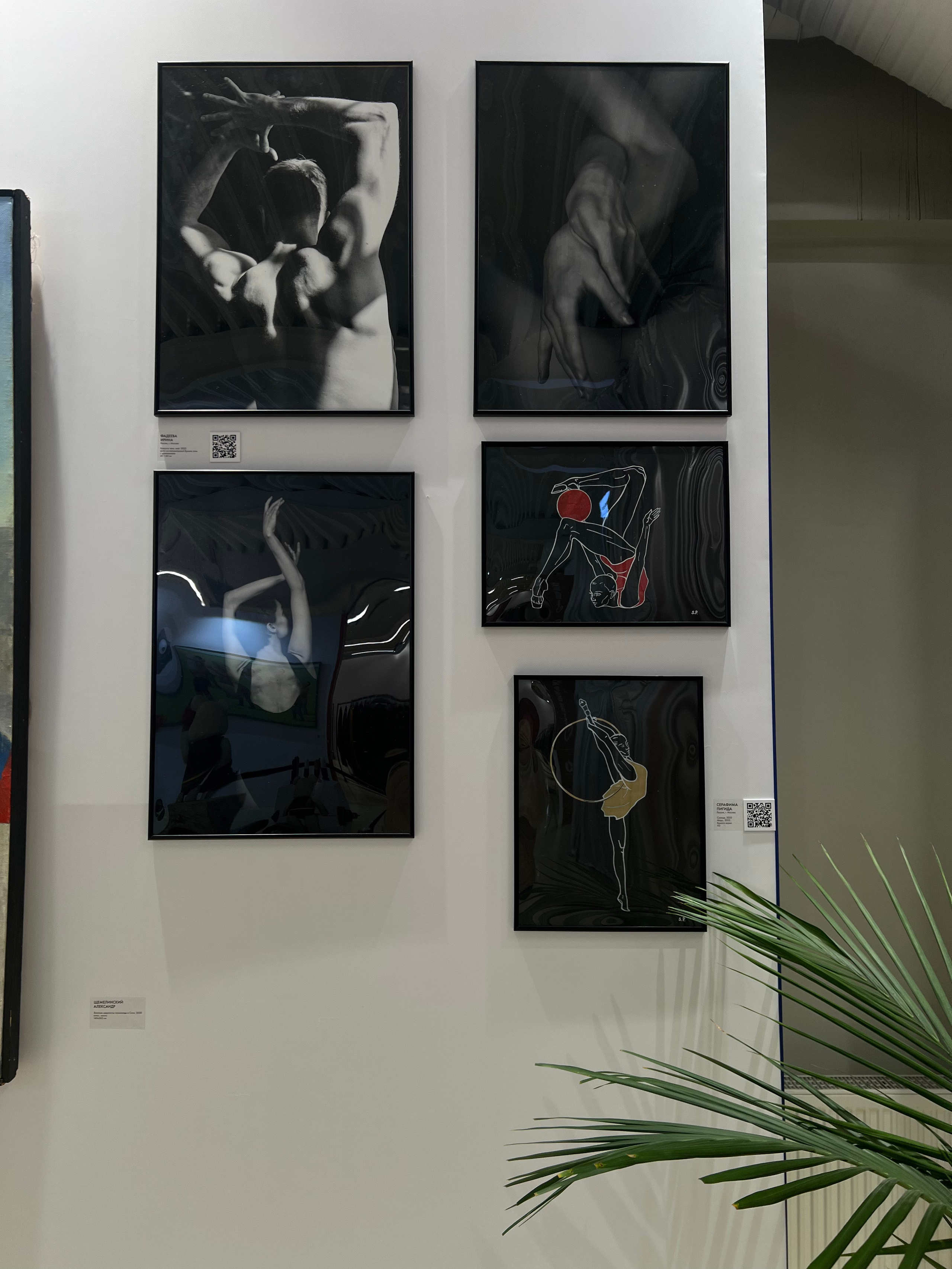 Выставка «Спорт сквозь время»30.10.2025-9.11.2025 Москва, Завод «Флакон». Спортивный фотограф в Москве Фадеева Ирина. Соревнования, турниры, чемпионаты по танцам. отчетные концерты, съемка под водой