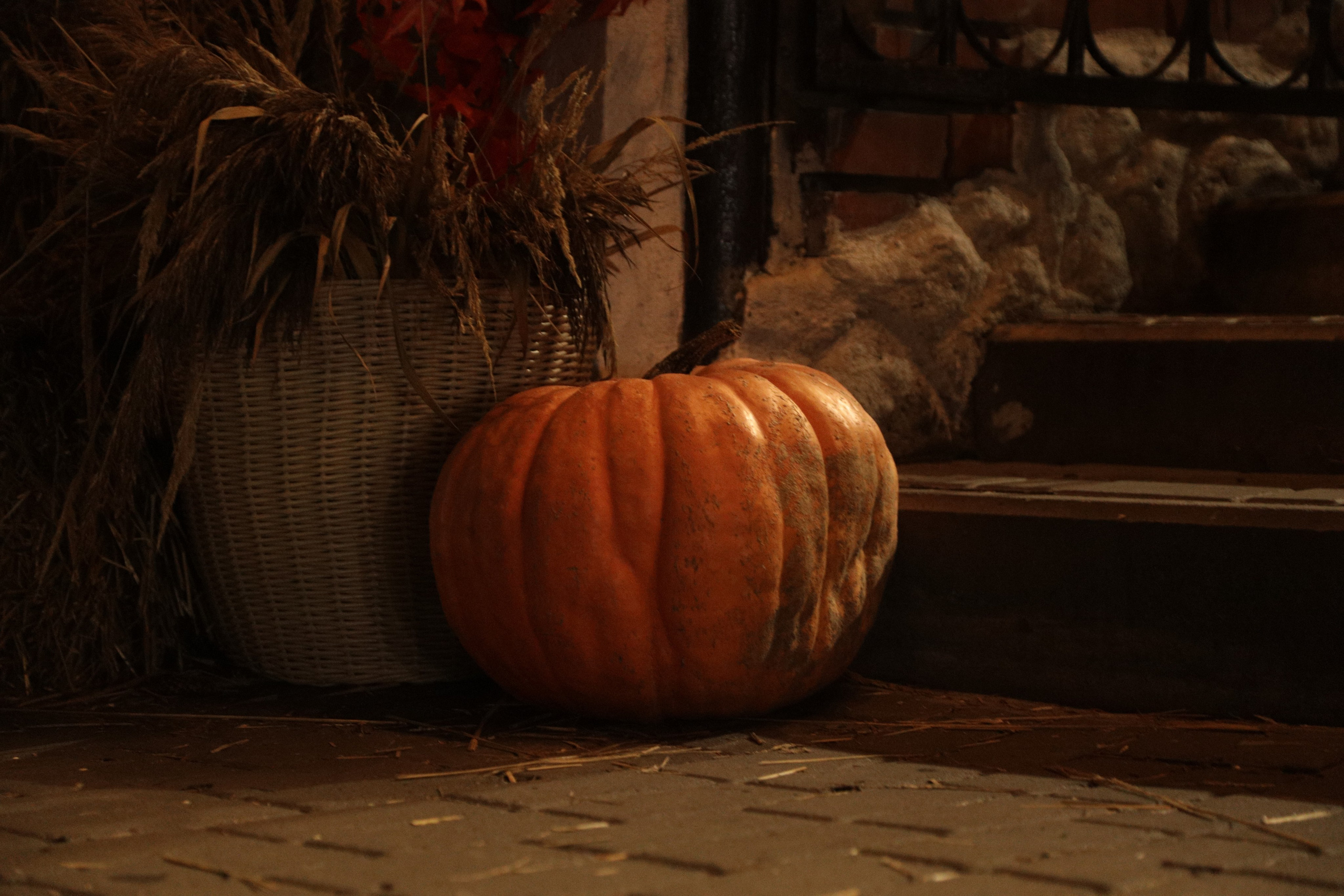 Ночная Коломна. Репортажный фотограф в Москве Агафонова Мария