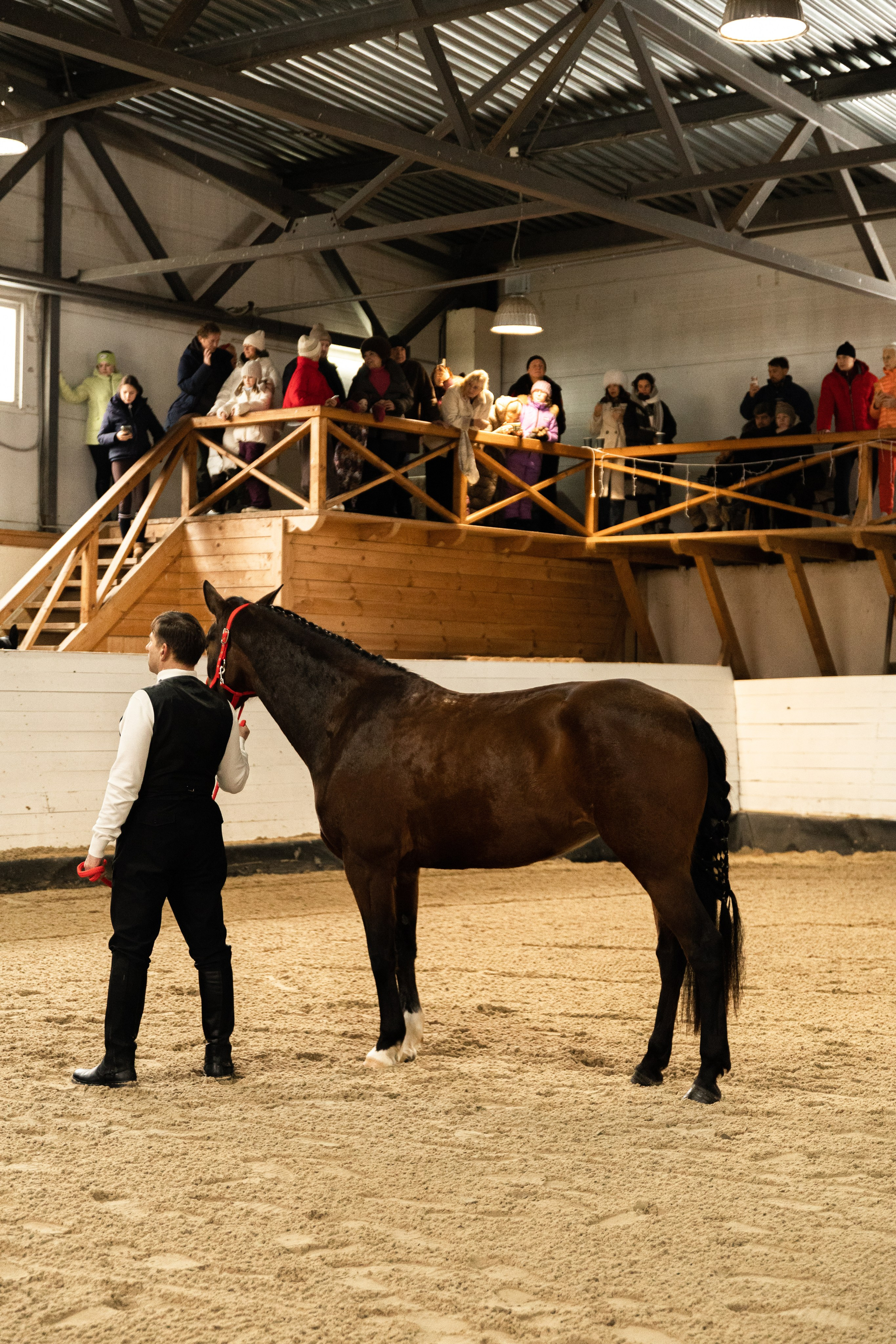 Парад пород I КК Просторы. The EVL gallery