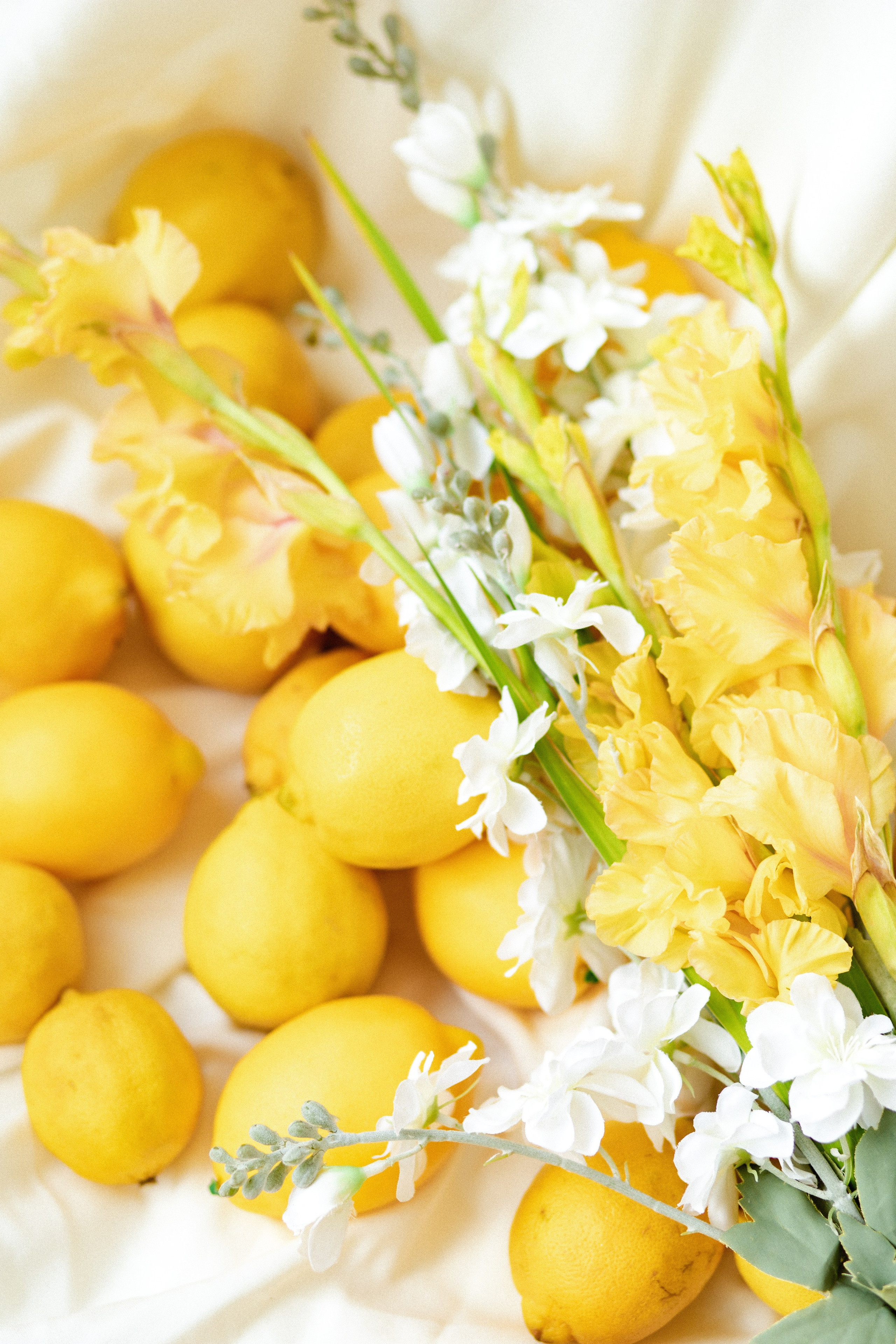 LeMoon. Фотограф в Краснодаре и Краснодарском Крае