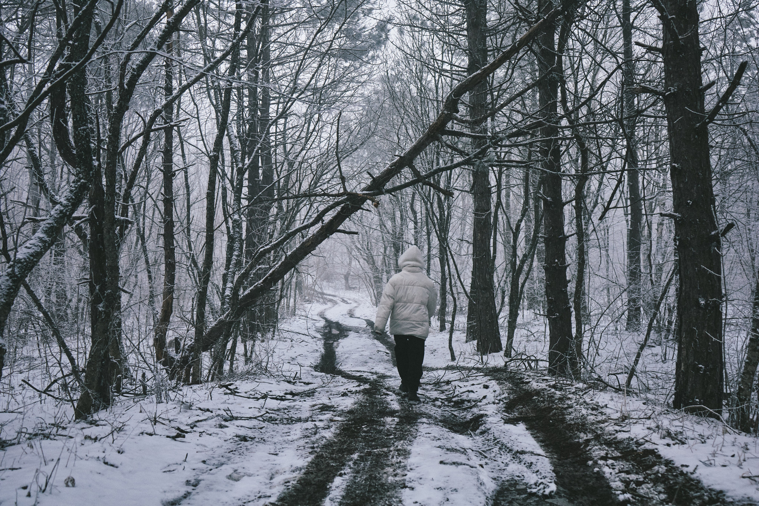 Backstage. Продюсер