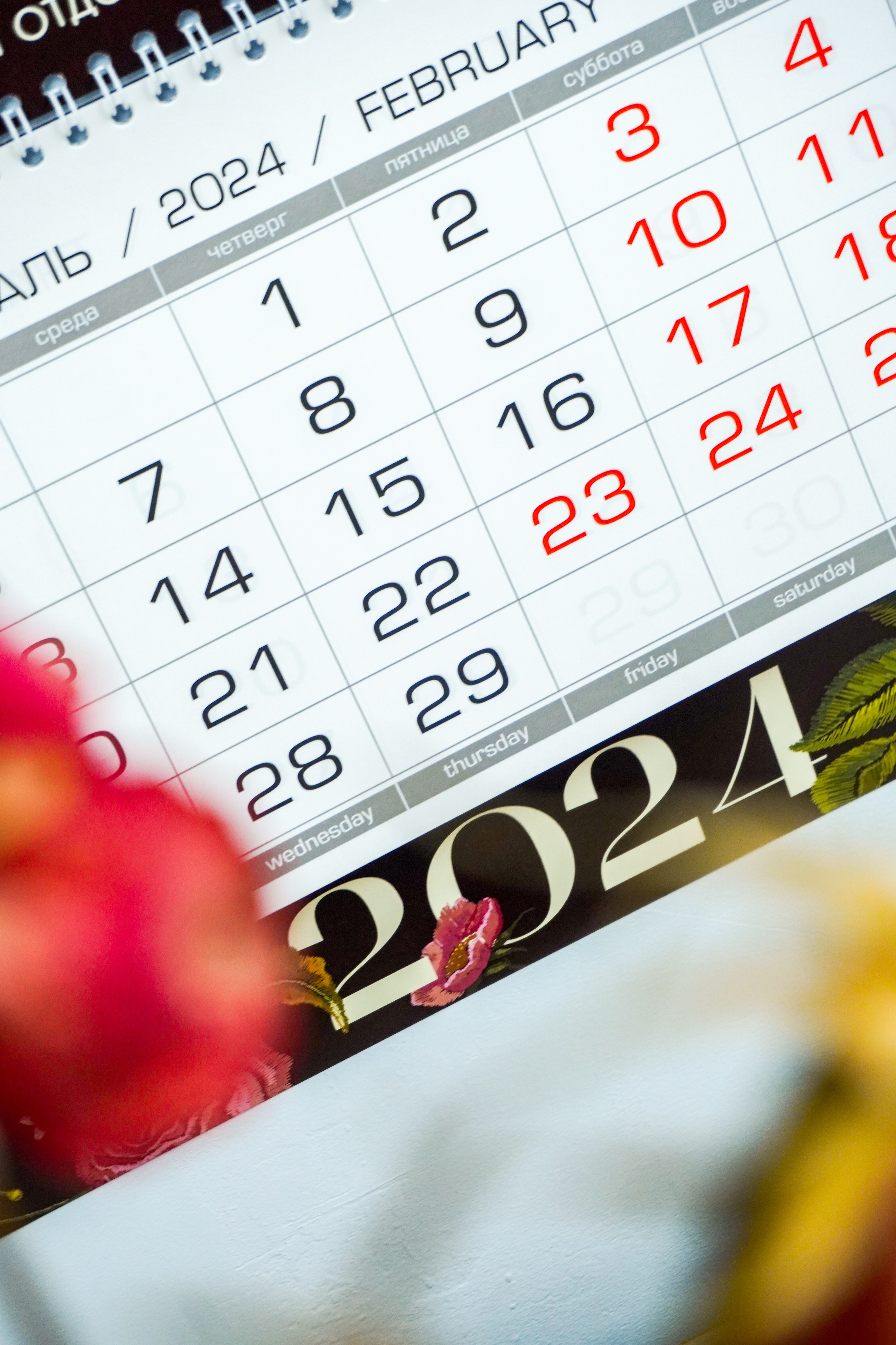 Канцелярия. Кузнецова Мария — профессиональный фотограф в Санкт-Петербурге | Предметная фотосъёмка, модельные тесты, актёрское портфолио, концерты