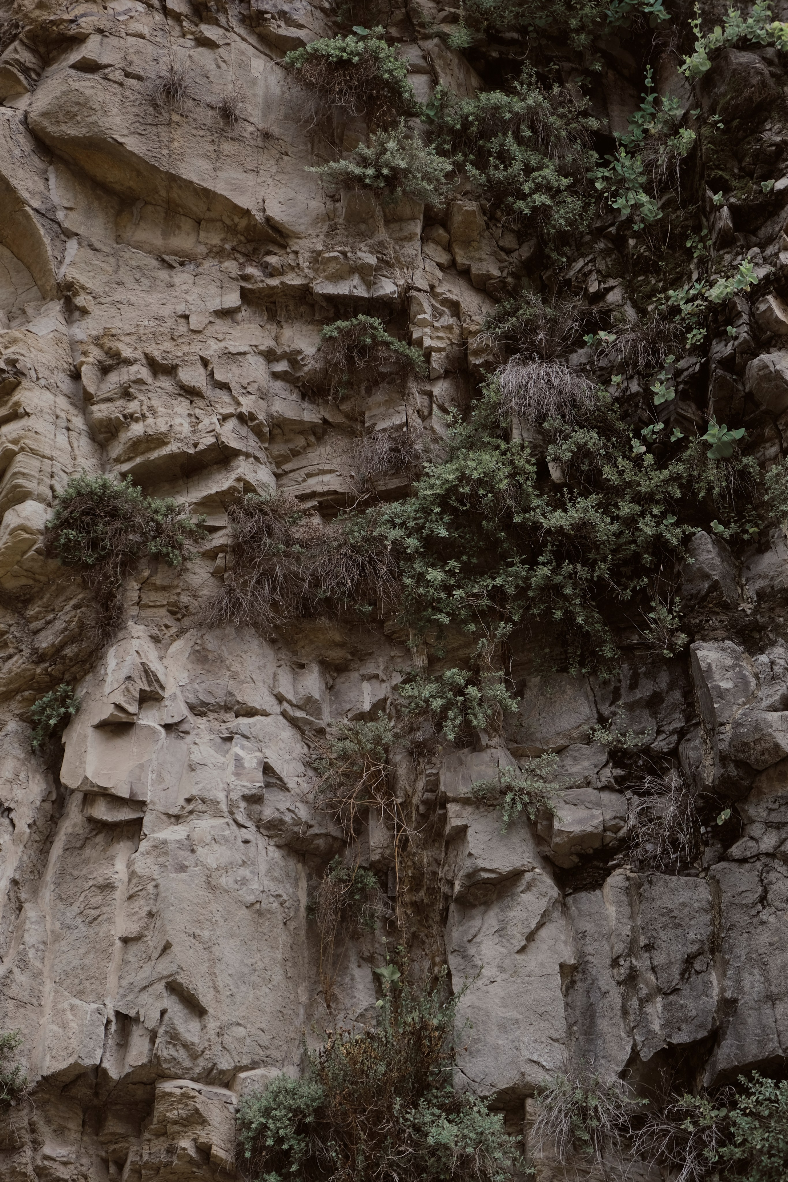 Грузия. Фотограф Настя Лев