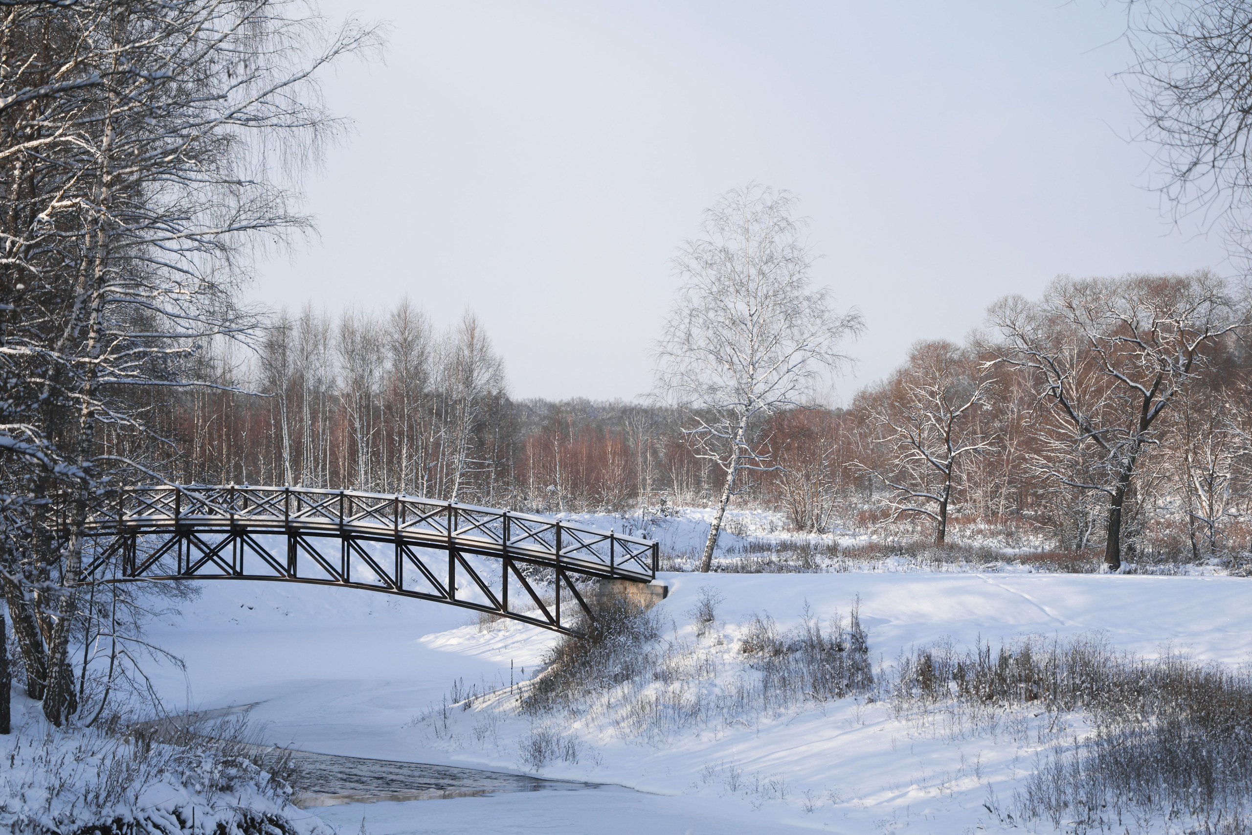 Фотограф Максим Татаринов