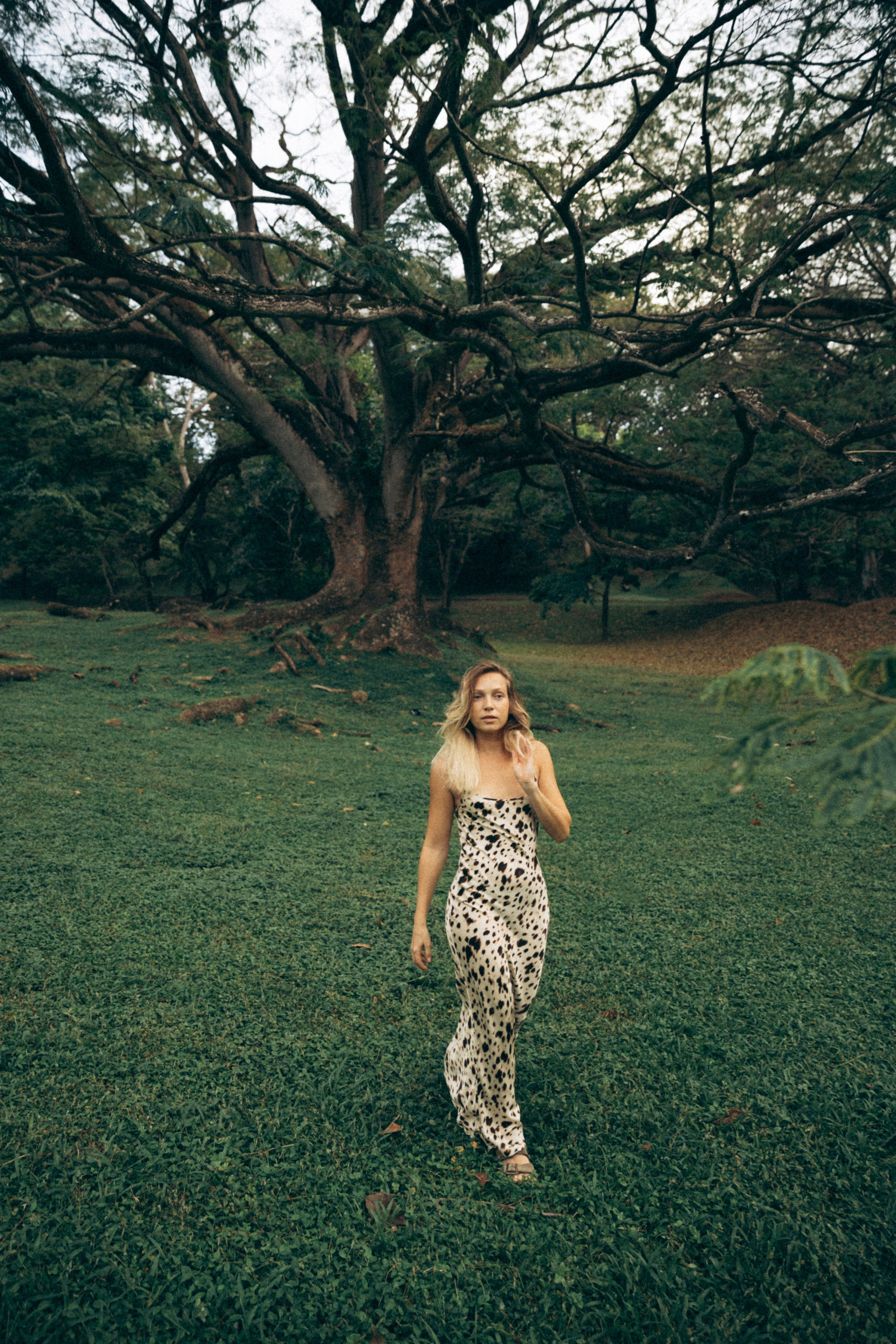 Даша. Портретный фотограф / Панама / Анастасия Елизарова