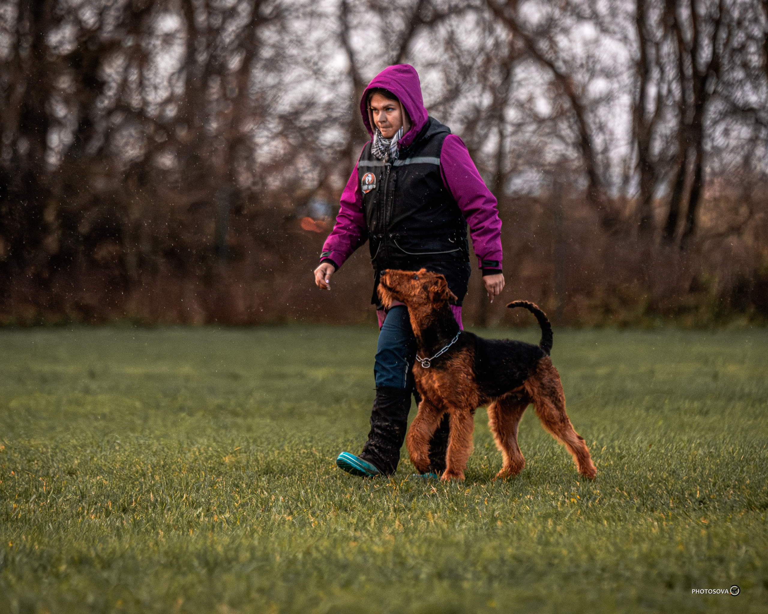 МЫ — КОМАНДА (соревнования) OKD, BH, IBGH, IGP. Фотограф-анималист, семейный фотограф в Москве и Подмосковье. Фотосъёмка кинологических дисциплин