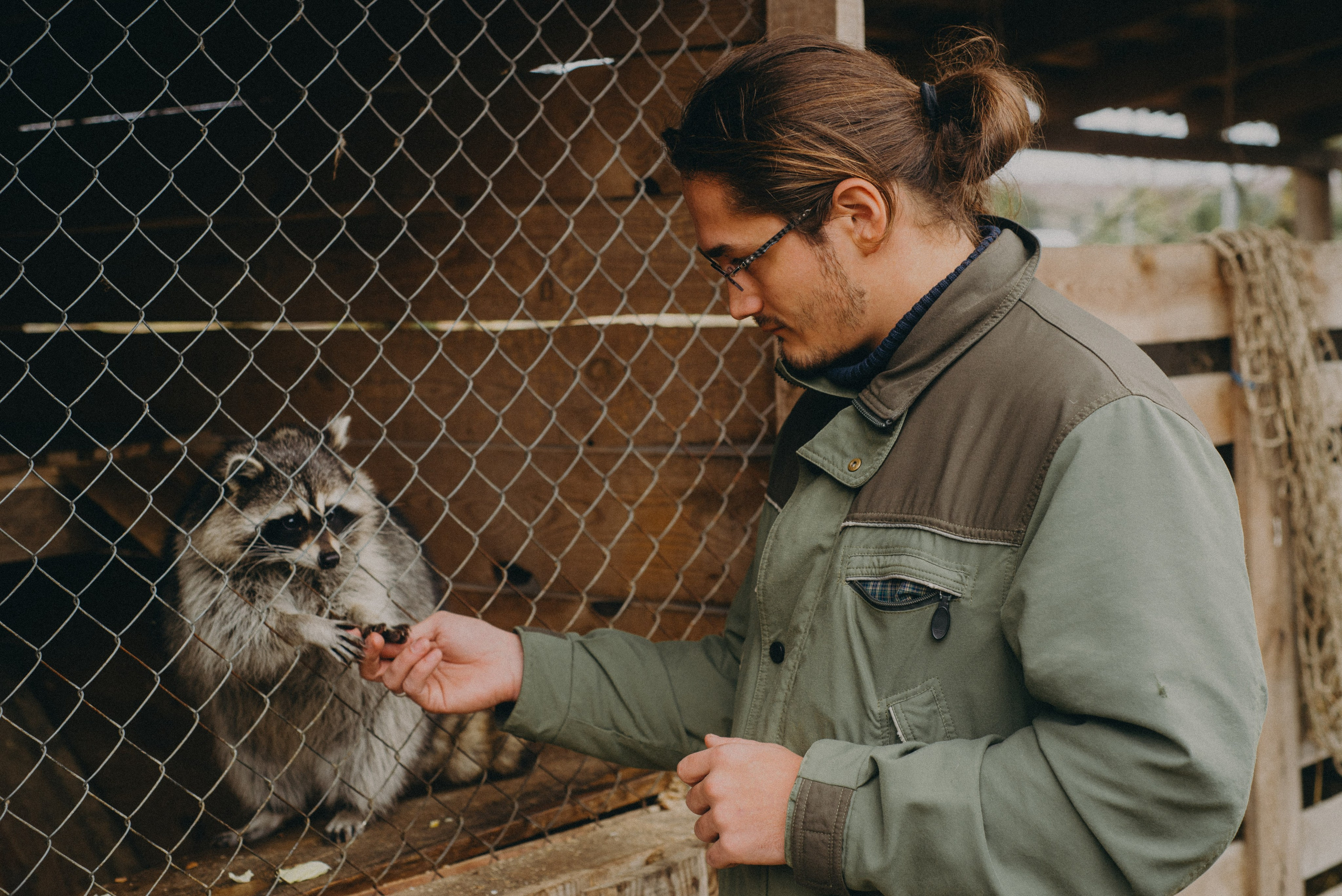 Сирин. Anita_photo