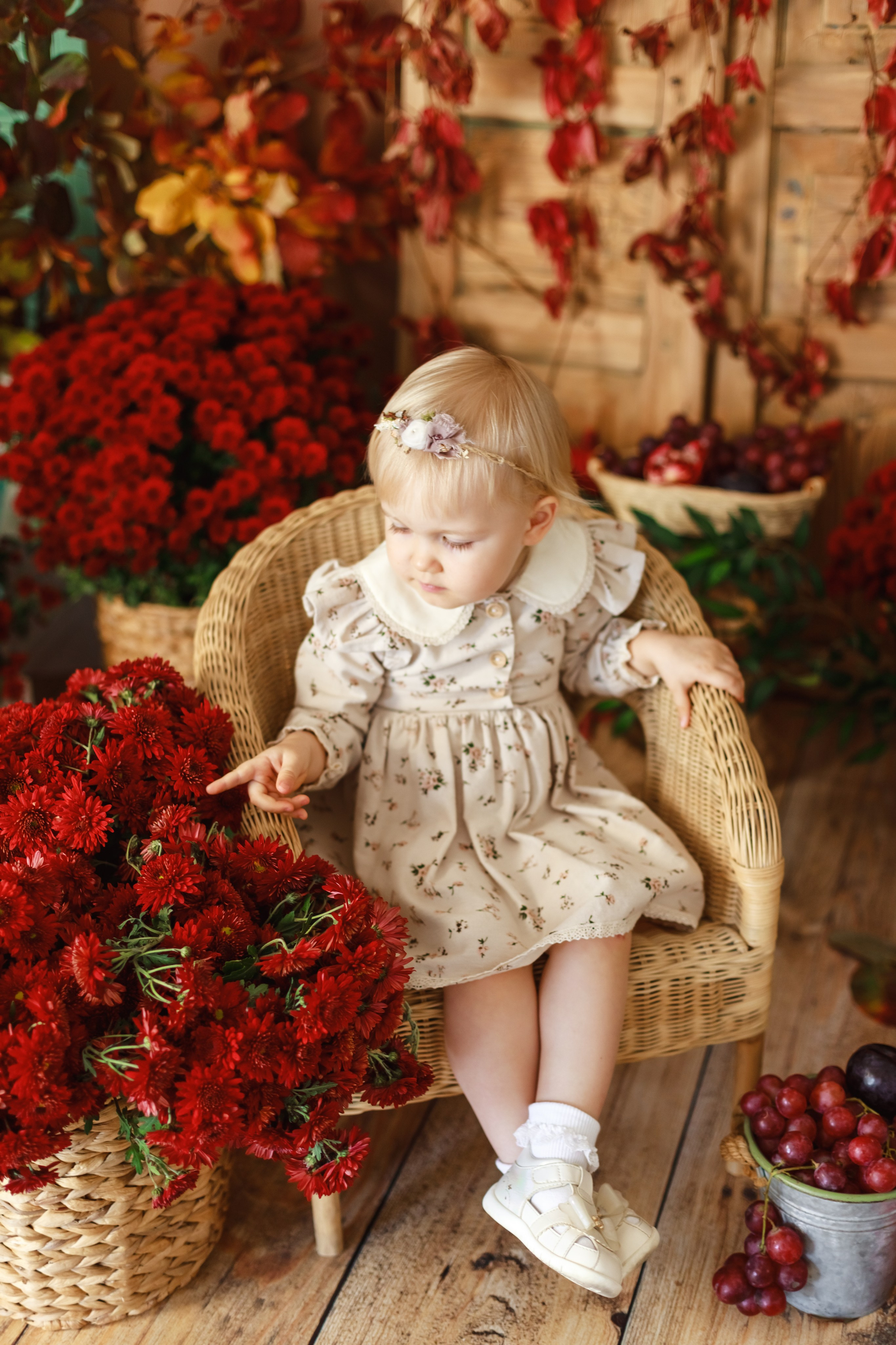 Гранаты 2024. Детский и семейный фотограф в Краснодаре Альбина Морозова