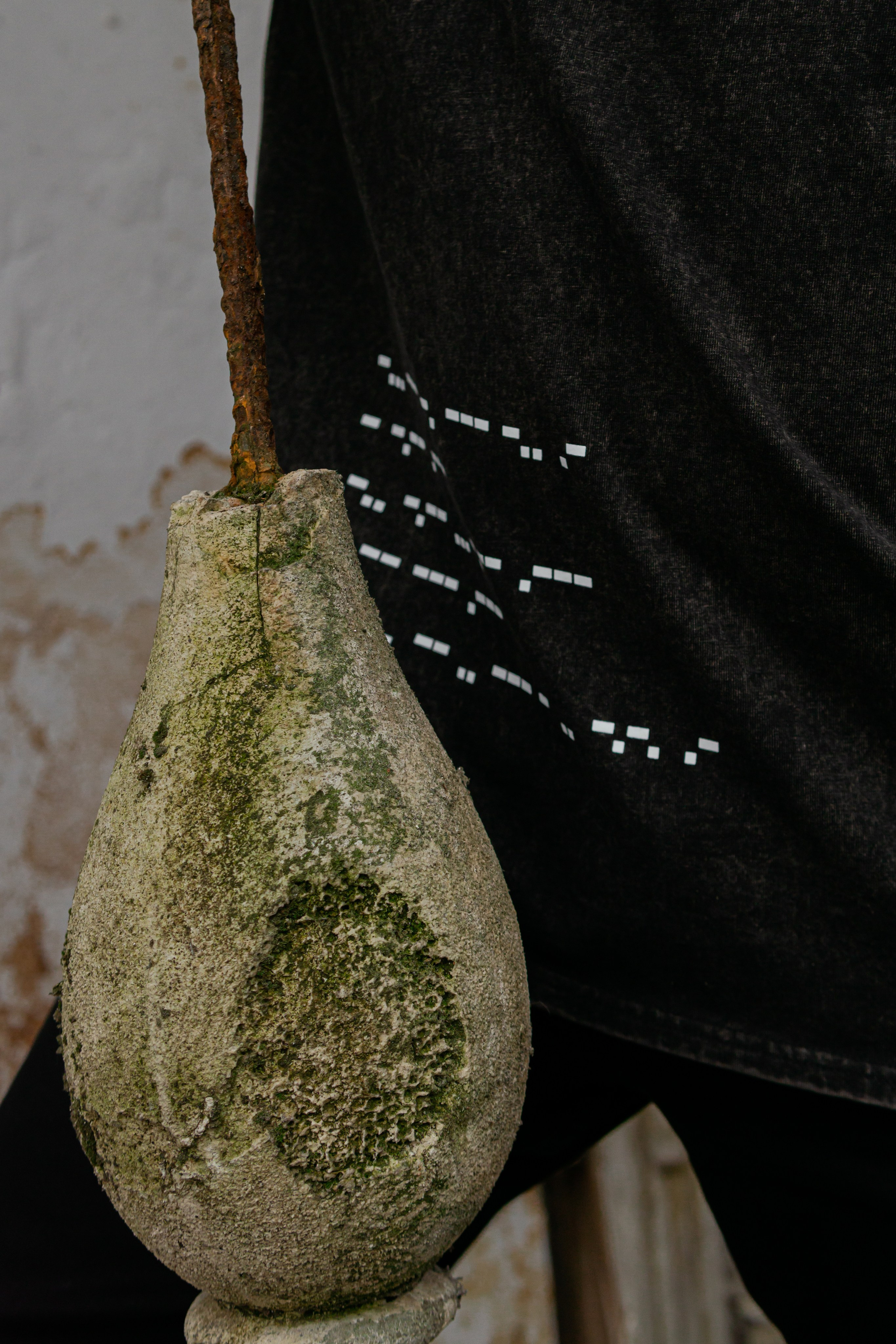 Съемка мерча БЛТ* Semiotica в городе. Фотограф-анималист Ксения Воробьева, Москва