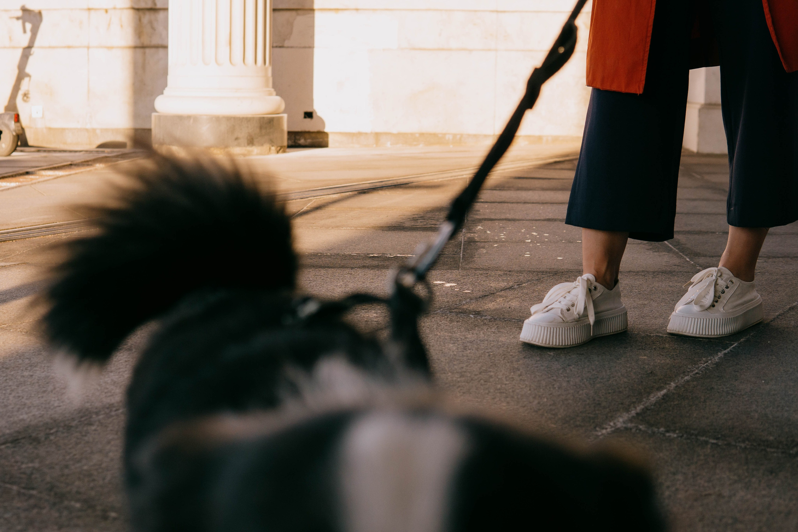 Даша и Тюбик. Фотограф-анималист Ксения Воробьева, Москва
