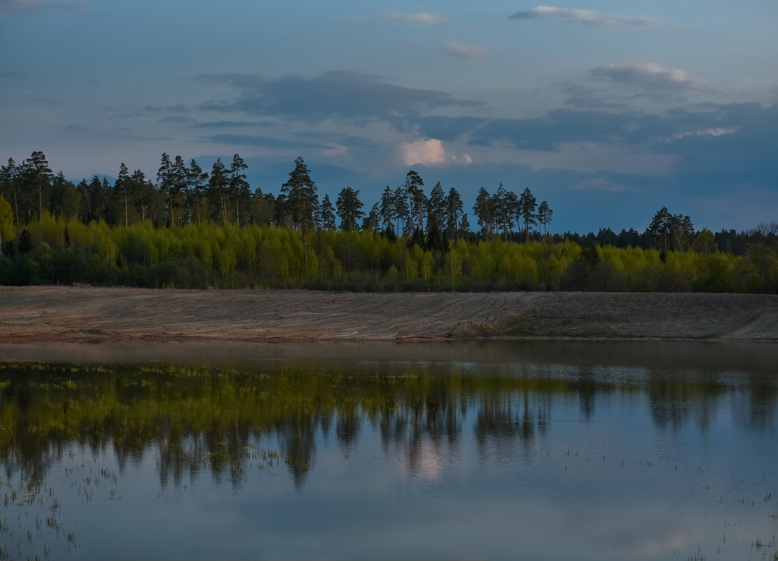 Природа. Съемки в стиле Goblicore и прочая нечисть. Конный фотограф из Москвы Ирина Бондаркова