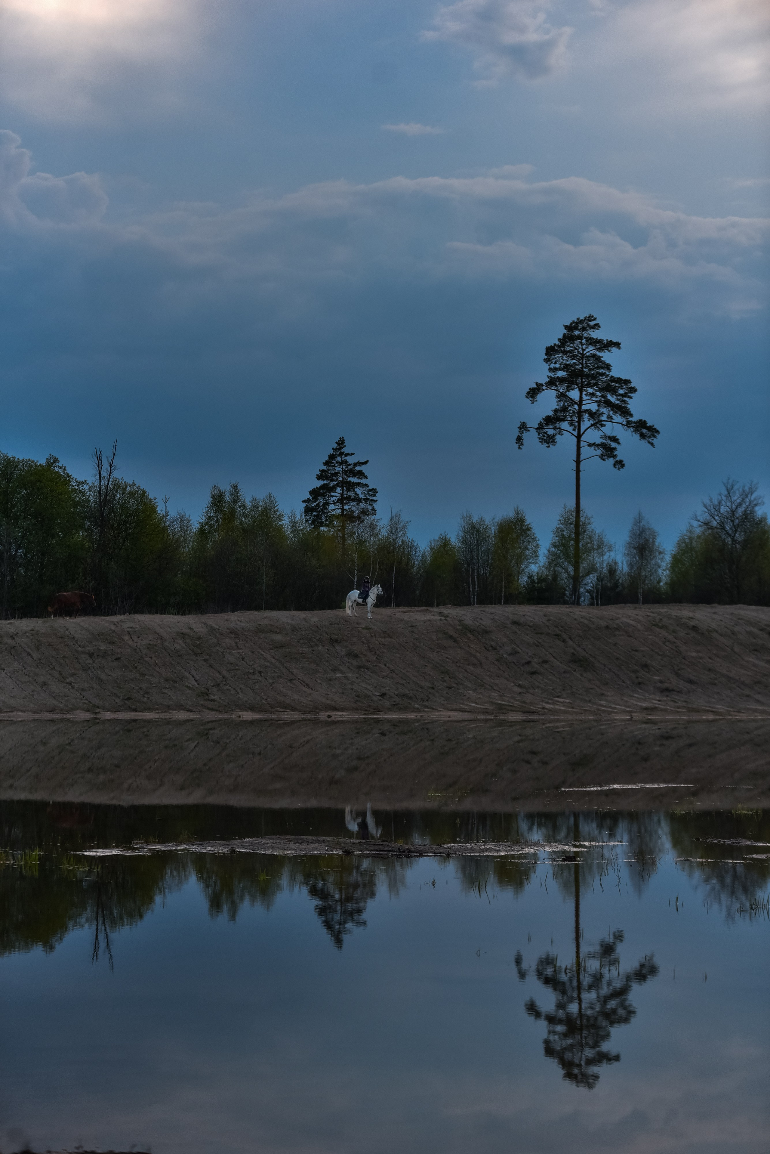 Природа. Съемки в стиле Goblicore и прочая нечисть. Конный фотограф из Москвы Ирина Бондаркова