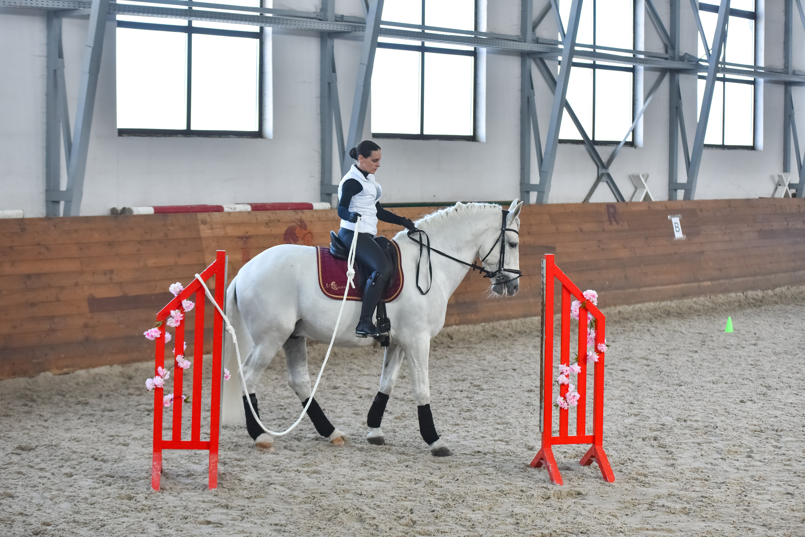 Репортажная съемка конных мероприятий. Конный фотограф из Москвы Ирина Бондаркова