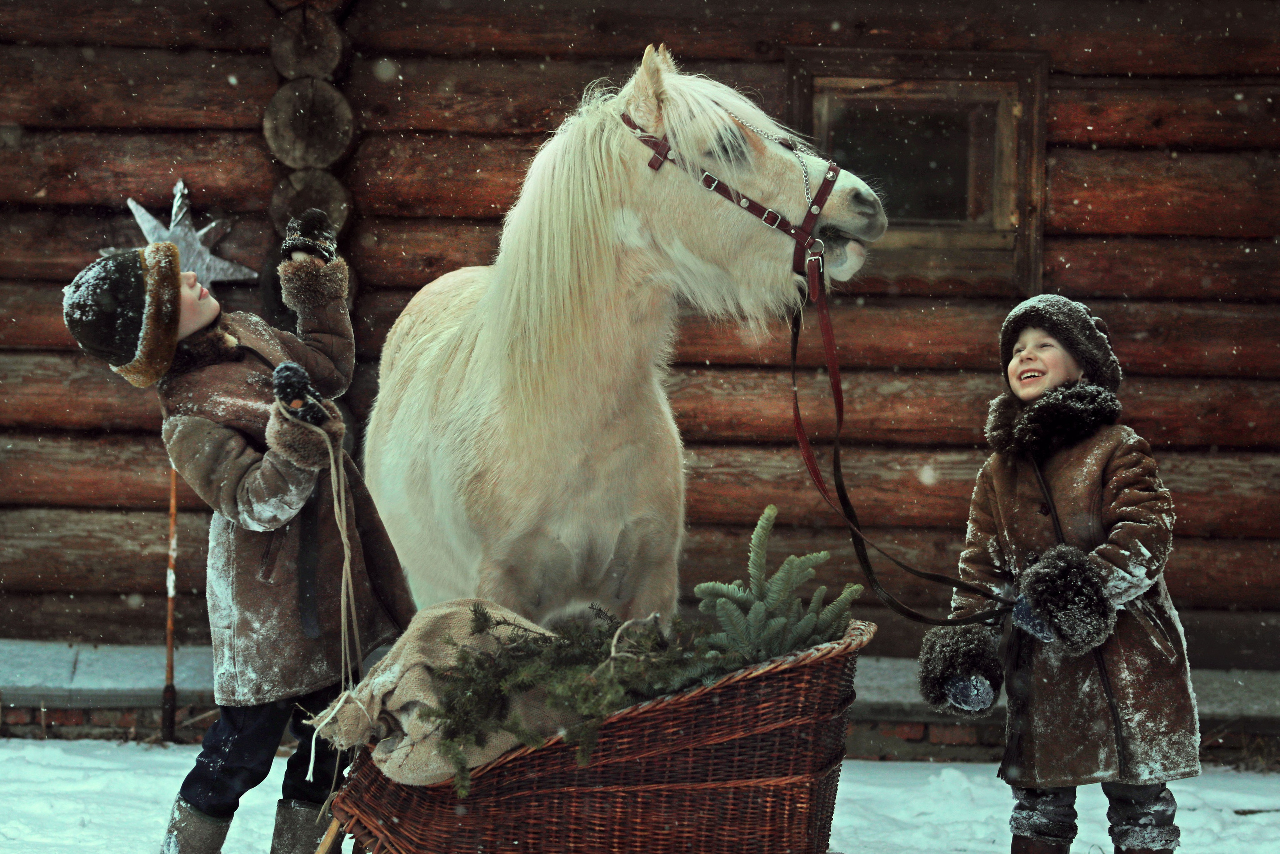 Детская фотосессия от 3х до 12 лет. Фотосессия с лошадьми