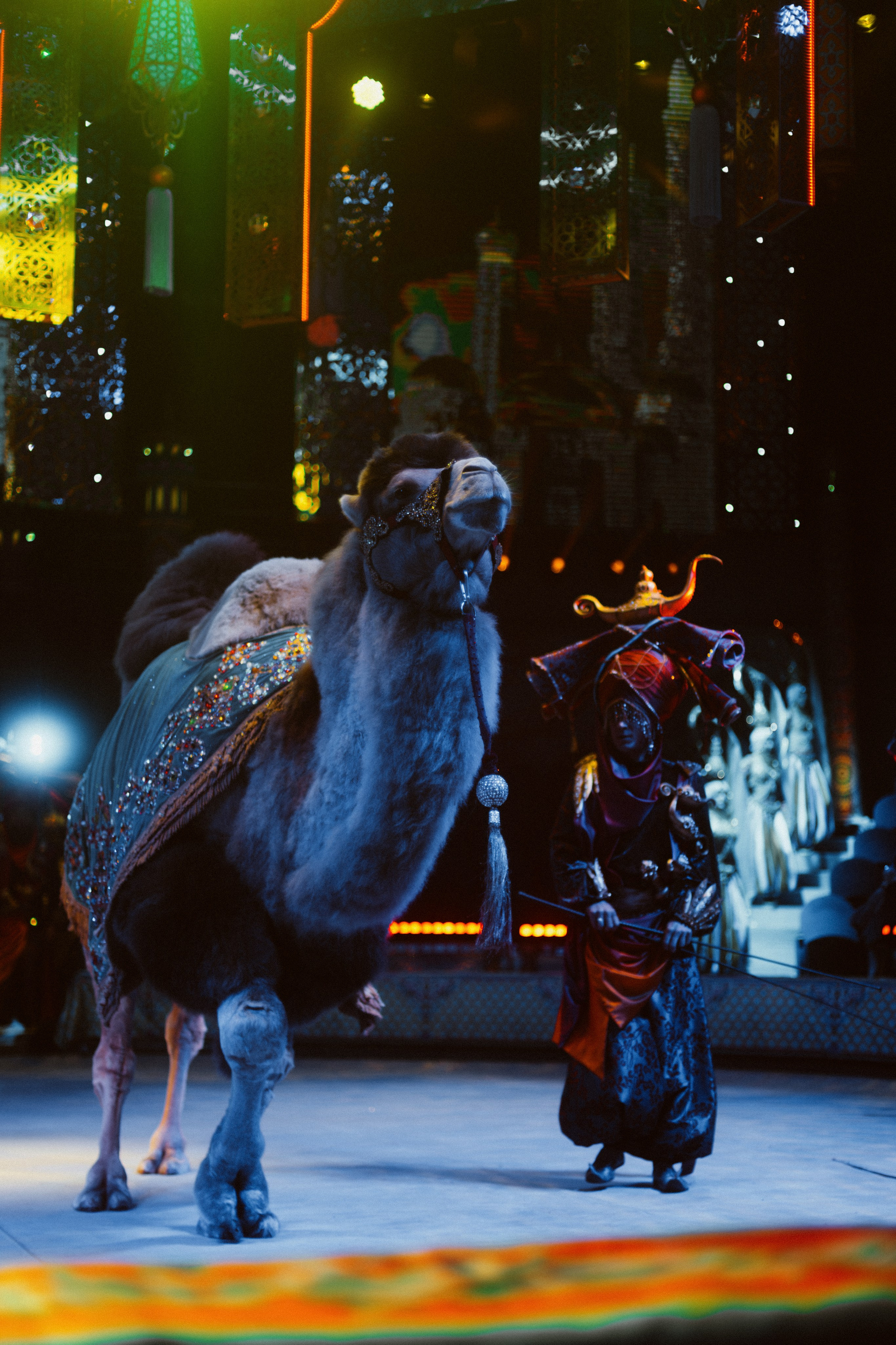 КОНЦЕРТЫ И ШОУ. Фотограф Владивосток Ян Паклин