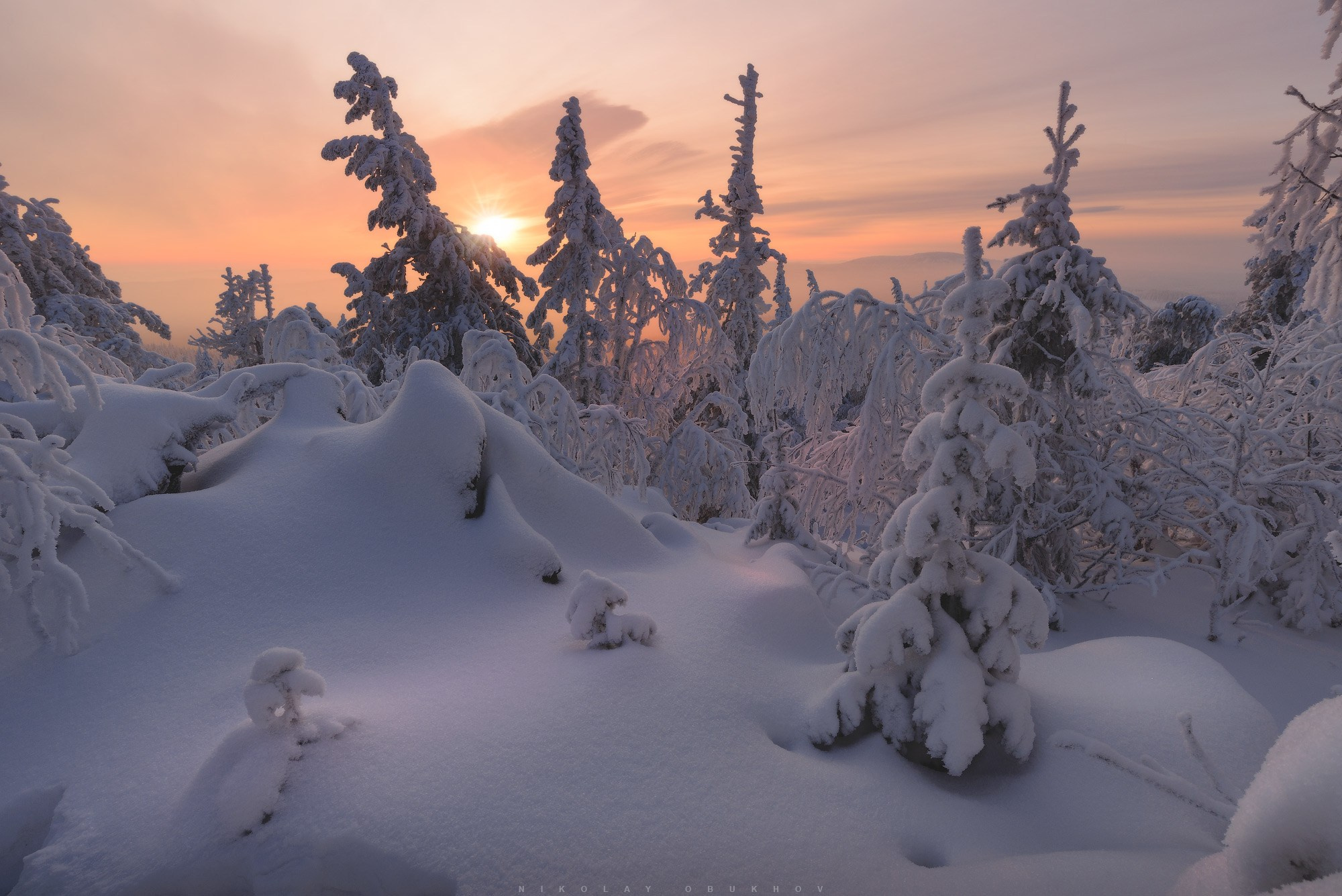 Зимний лес окутан туманом и инеем на склонах горы Белая в Свердловской области.  