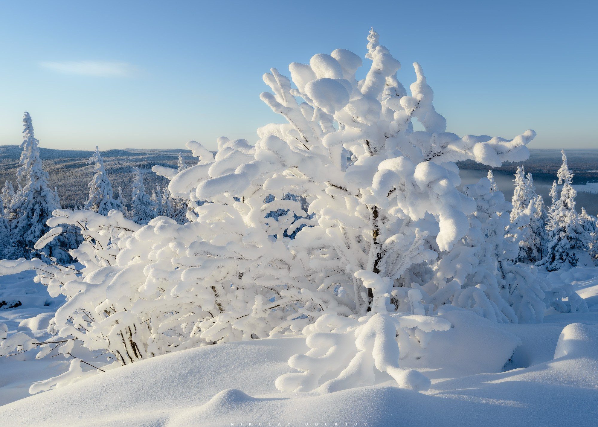 Зимний лес снег покрывает всё вокруг, создавая волшебную картину в Свердловской области.  