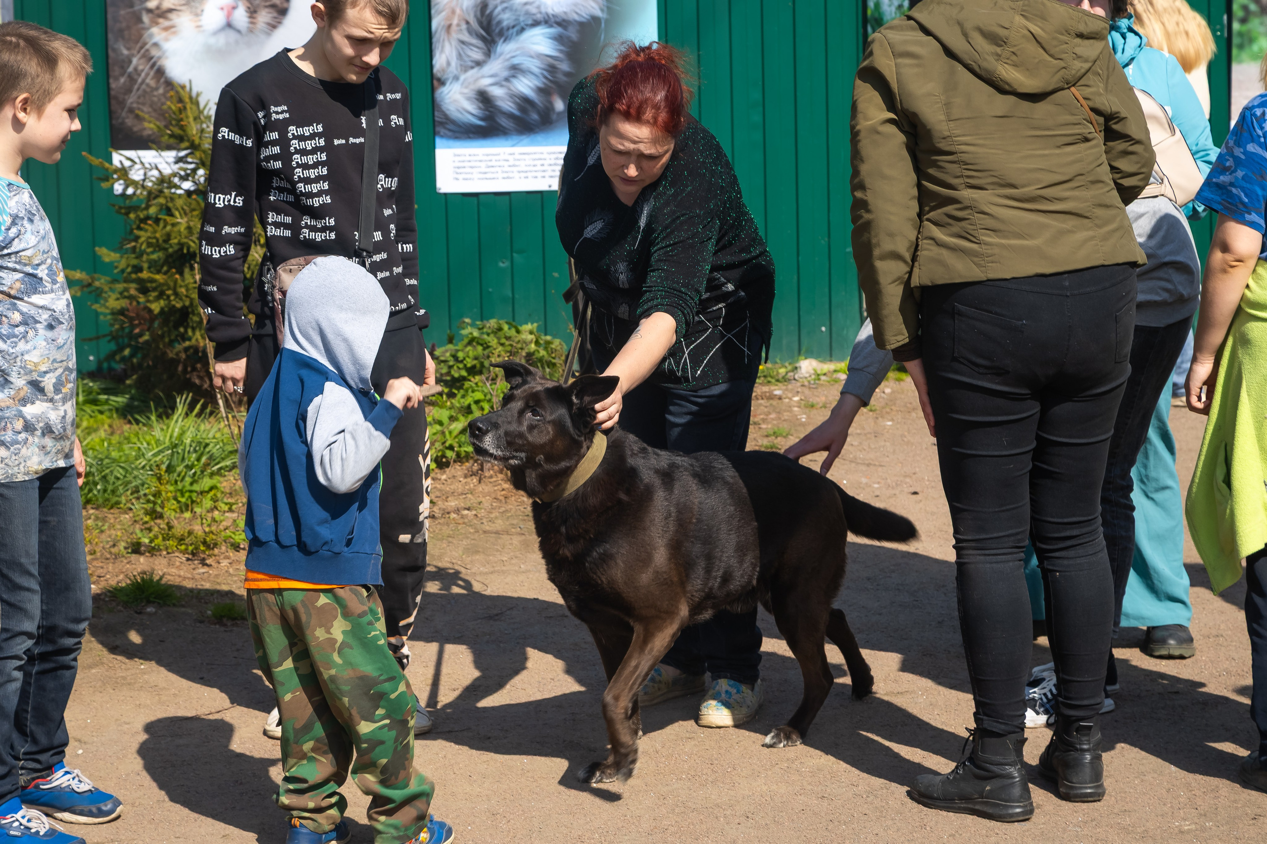 Petshop Забота. Фотограф в Санкт-Петербурге Чумаков Семен