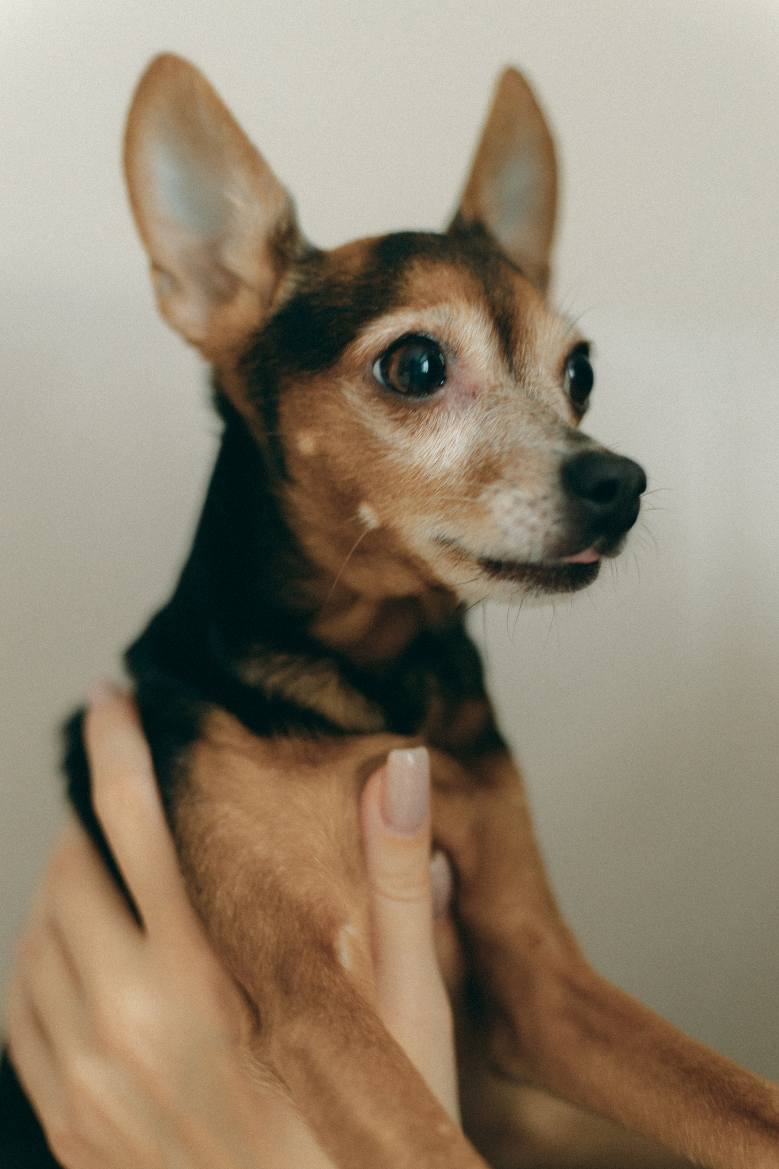 Дома. Фотограф в Санкт-Петербурге Виктория Безверхая