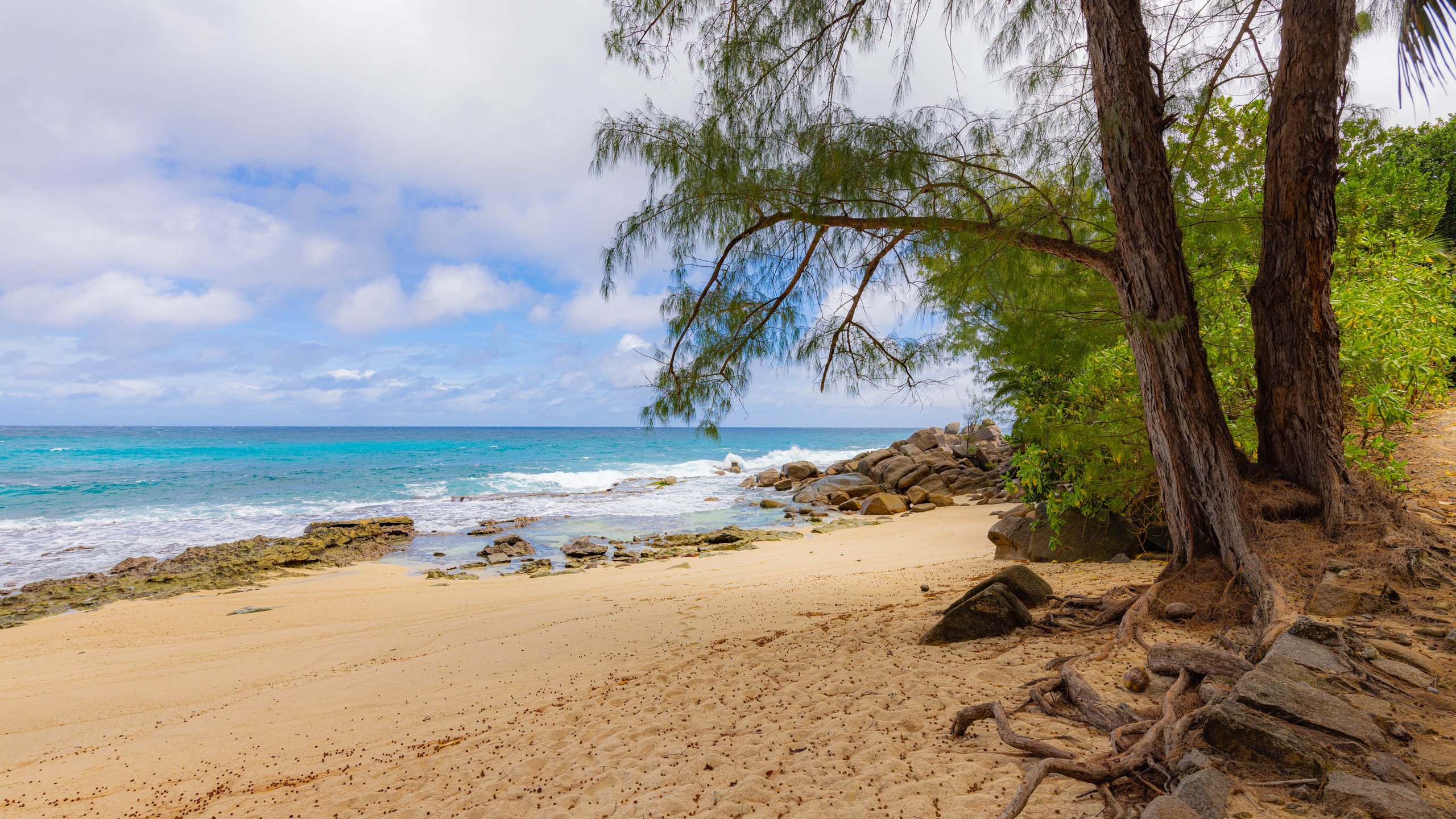 2025 07 Сейшелы (Маэ). Фотографии