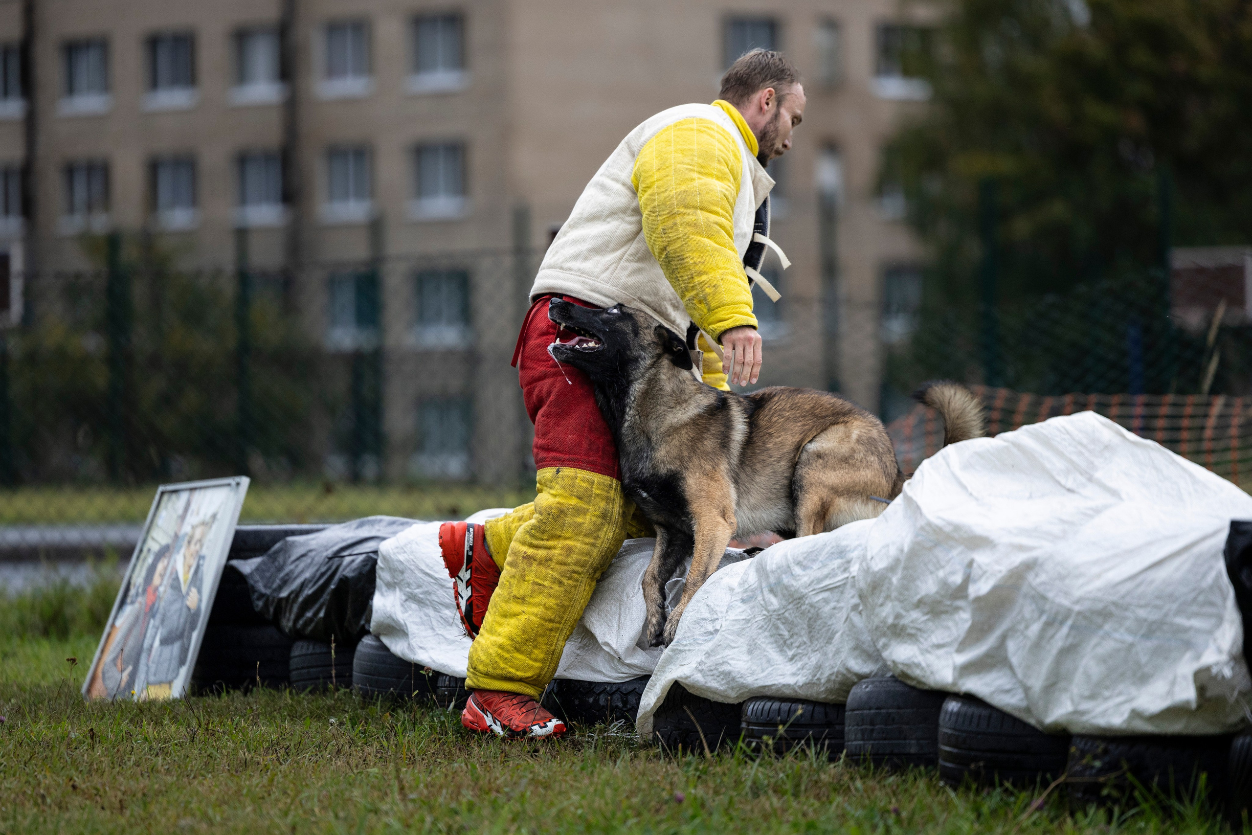 Испытания по Мондьорингу г. Пушкин. Фотограф-анималист Анна Маринич