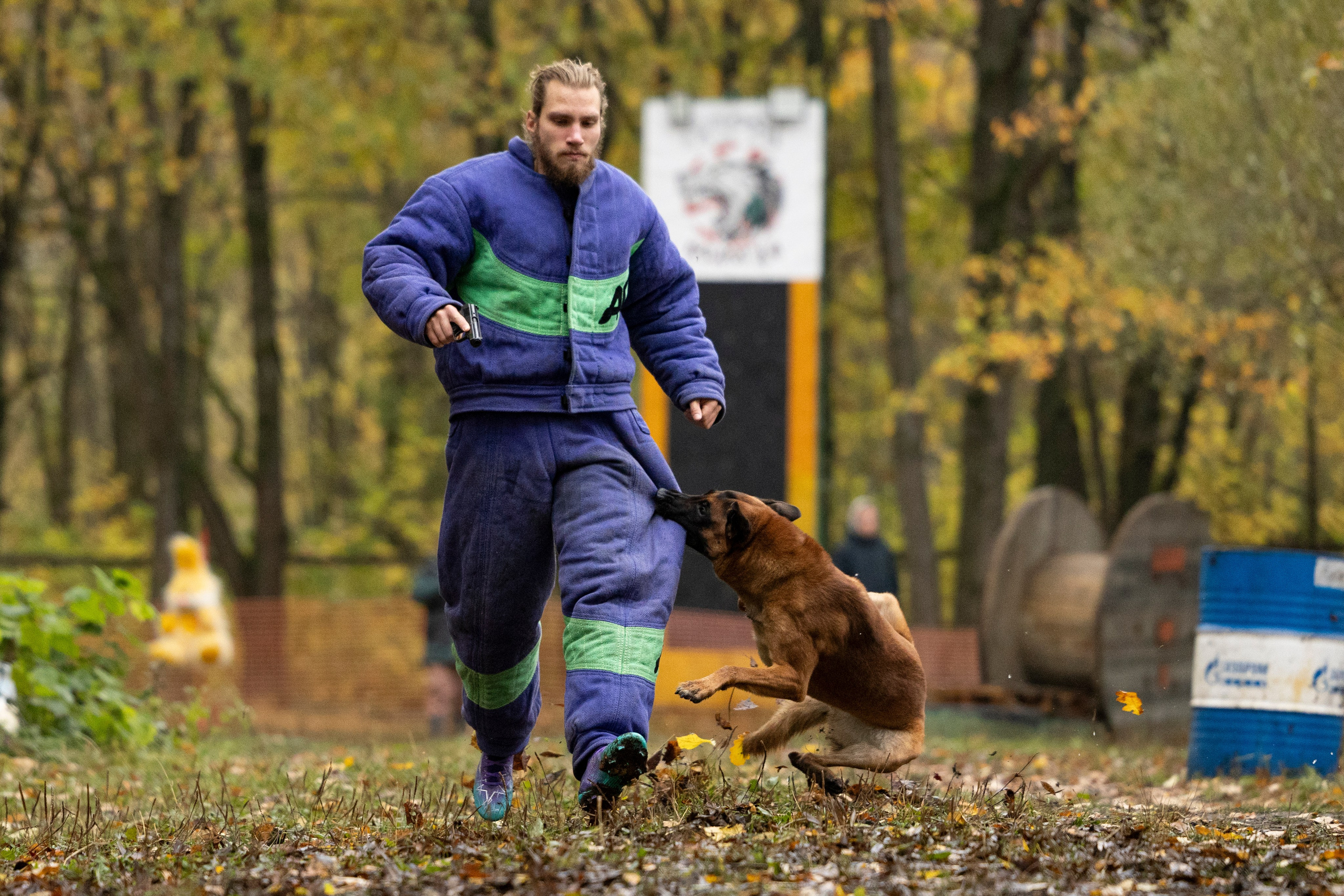 Соревнования по Мондьорингу г. Вологда. Фотограф-анималист Анна Маринич