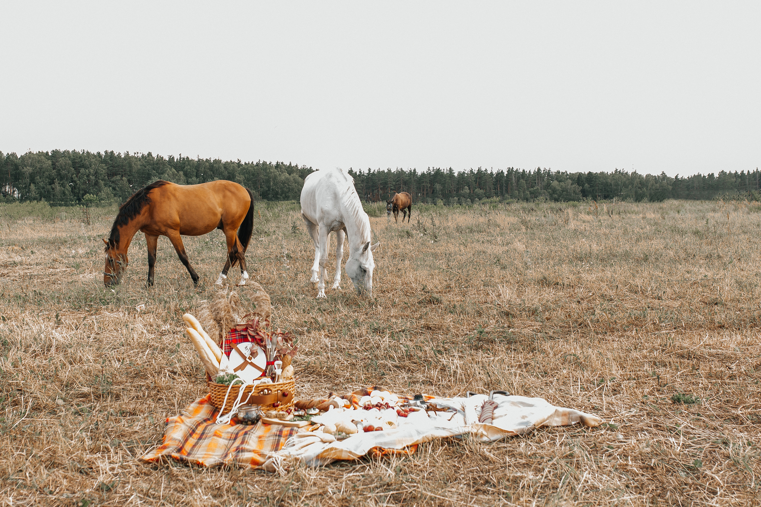 Sunset on the grass / Love story 30.06.2019. Воркшопы для фотографов в Москве и по всей России
