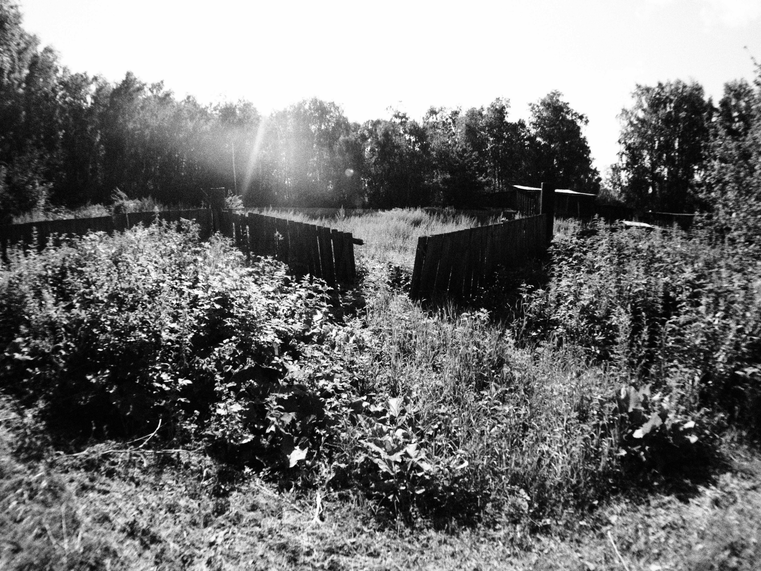 Промежуточные моменты (2023)