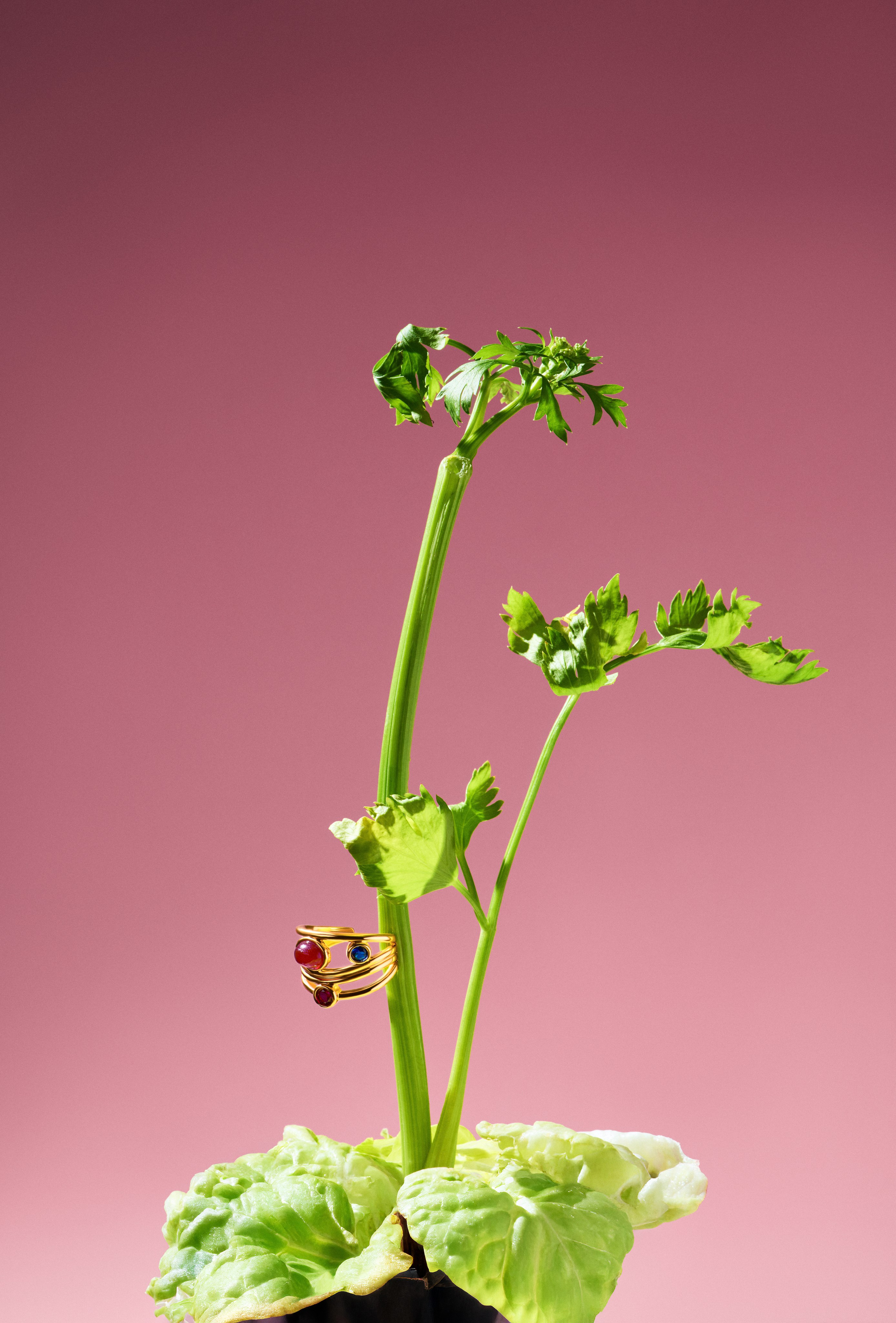 Jewelry. Retouching service